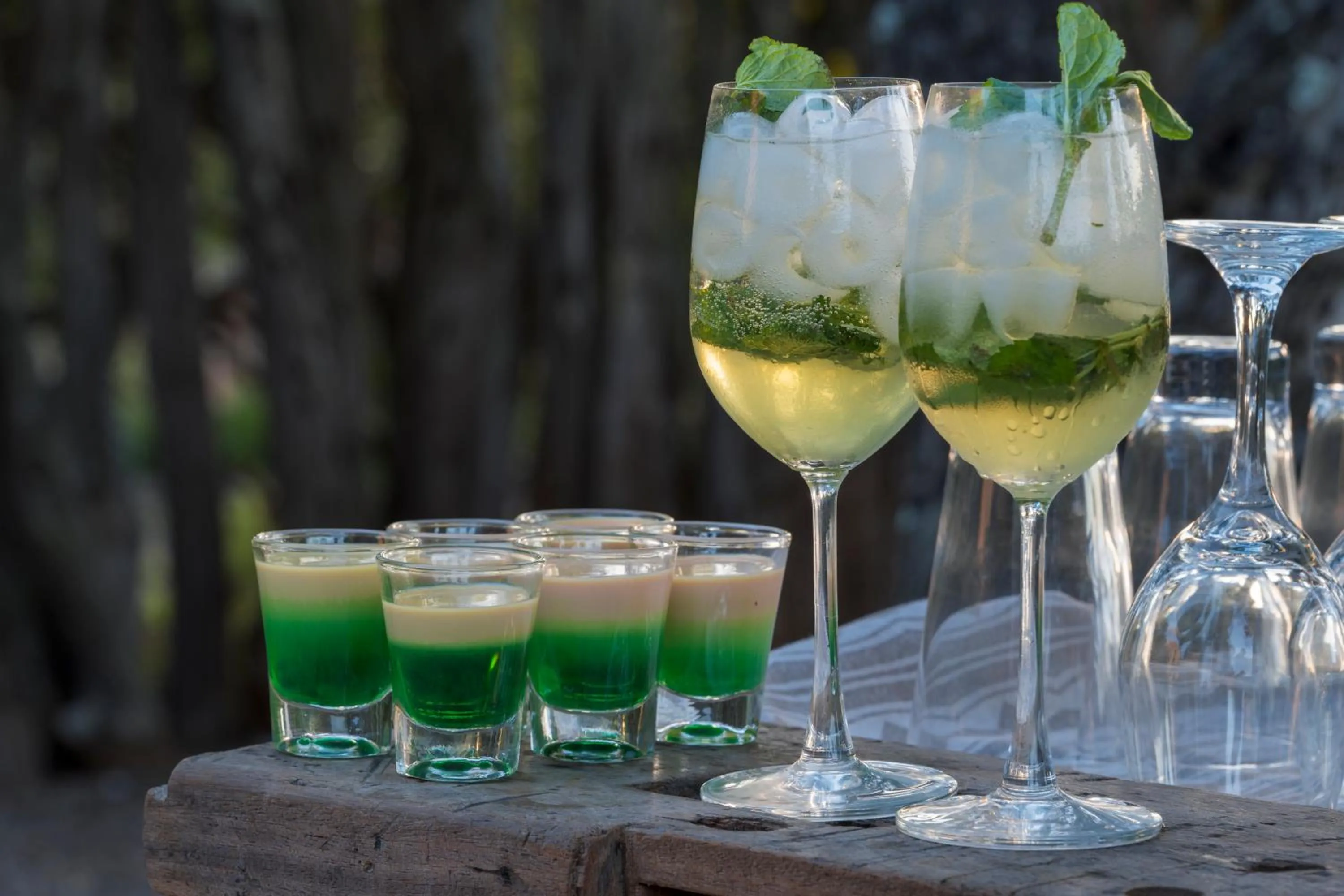 Drinks in HillsNek Safari Camp – Amakhala Game Reserve