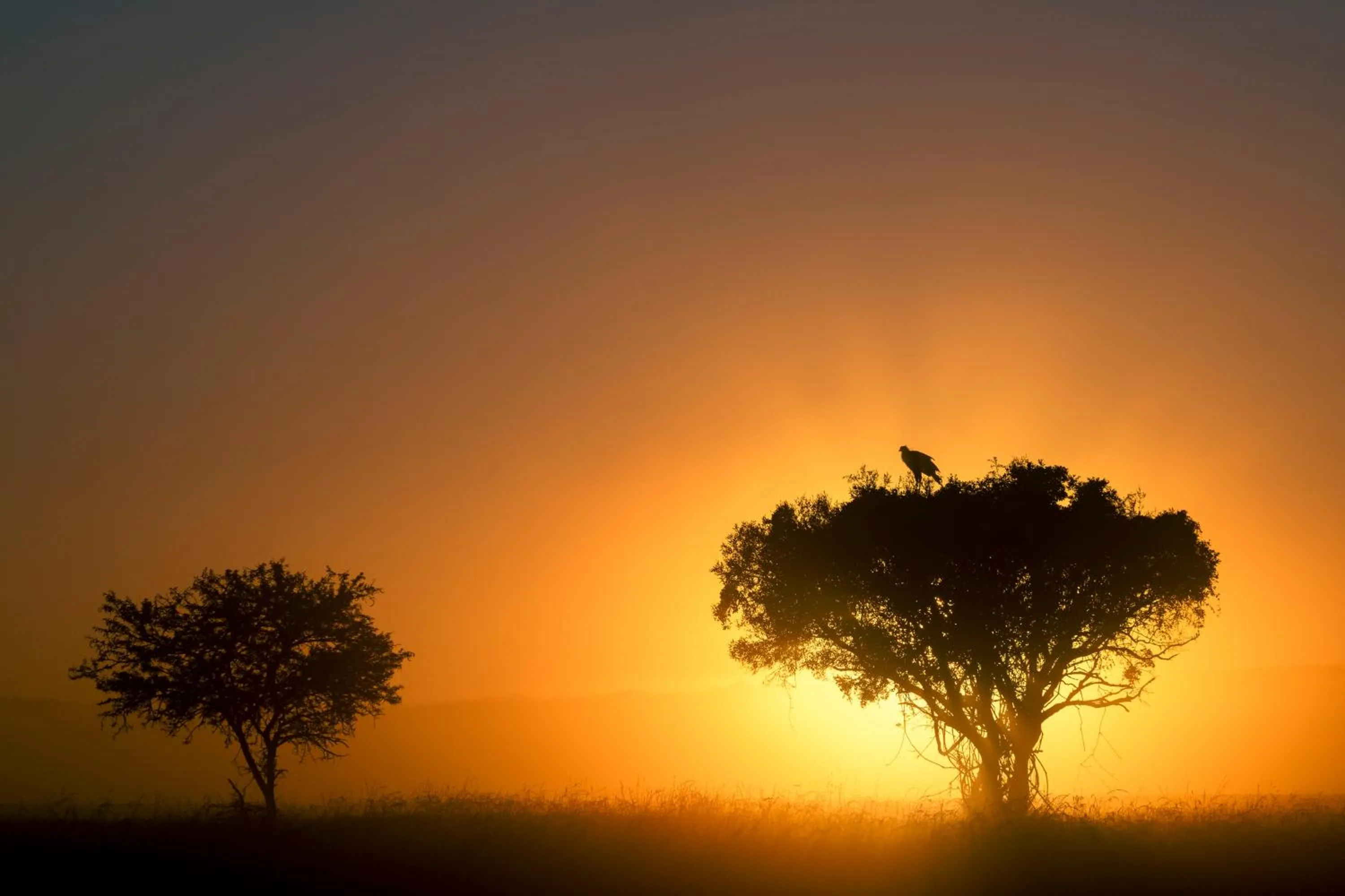 Natural landscape in HillsNek Safari Camp – Amakhala Game Reserve