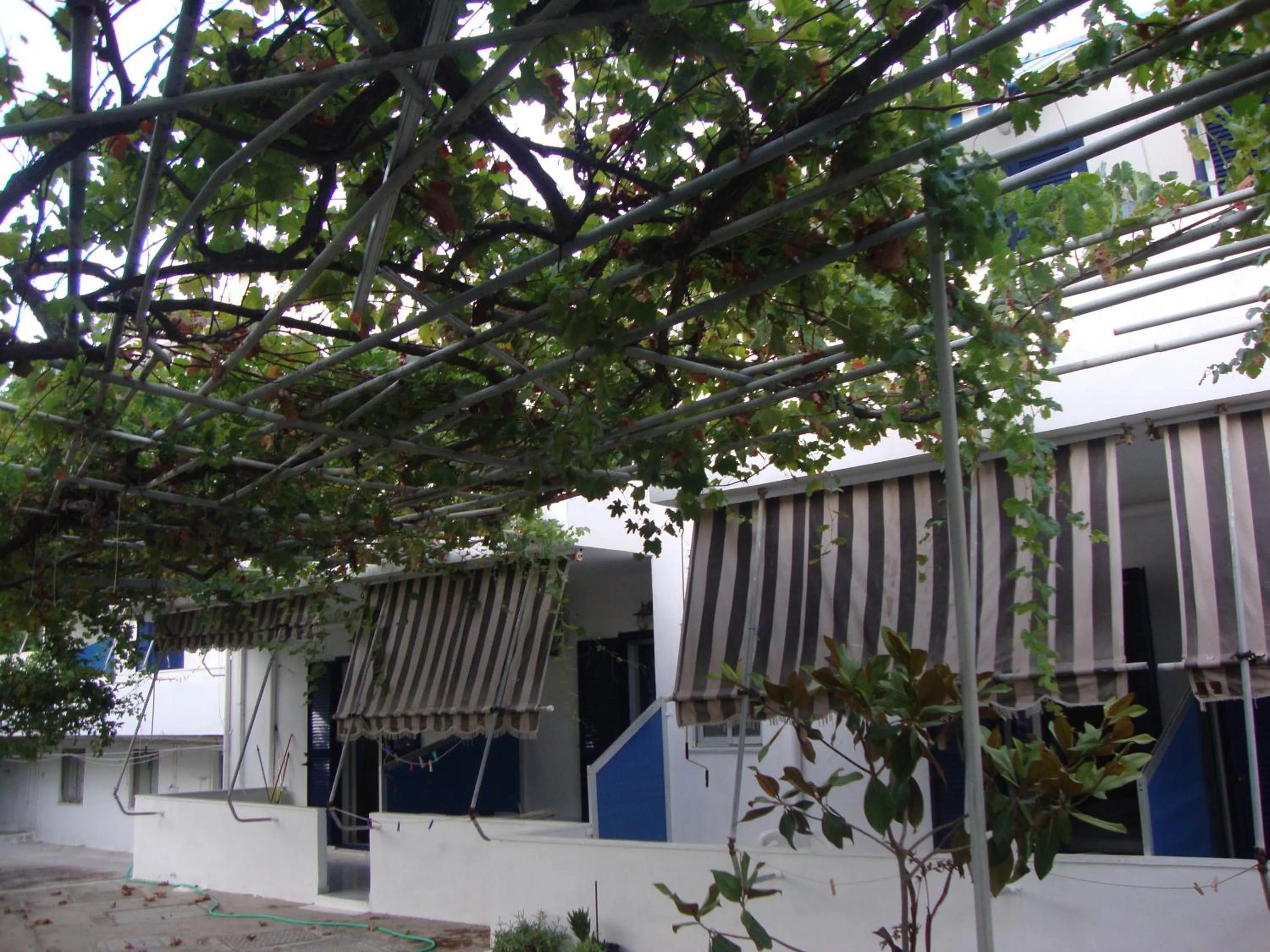 Garden view in Esperides Hotel