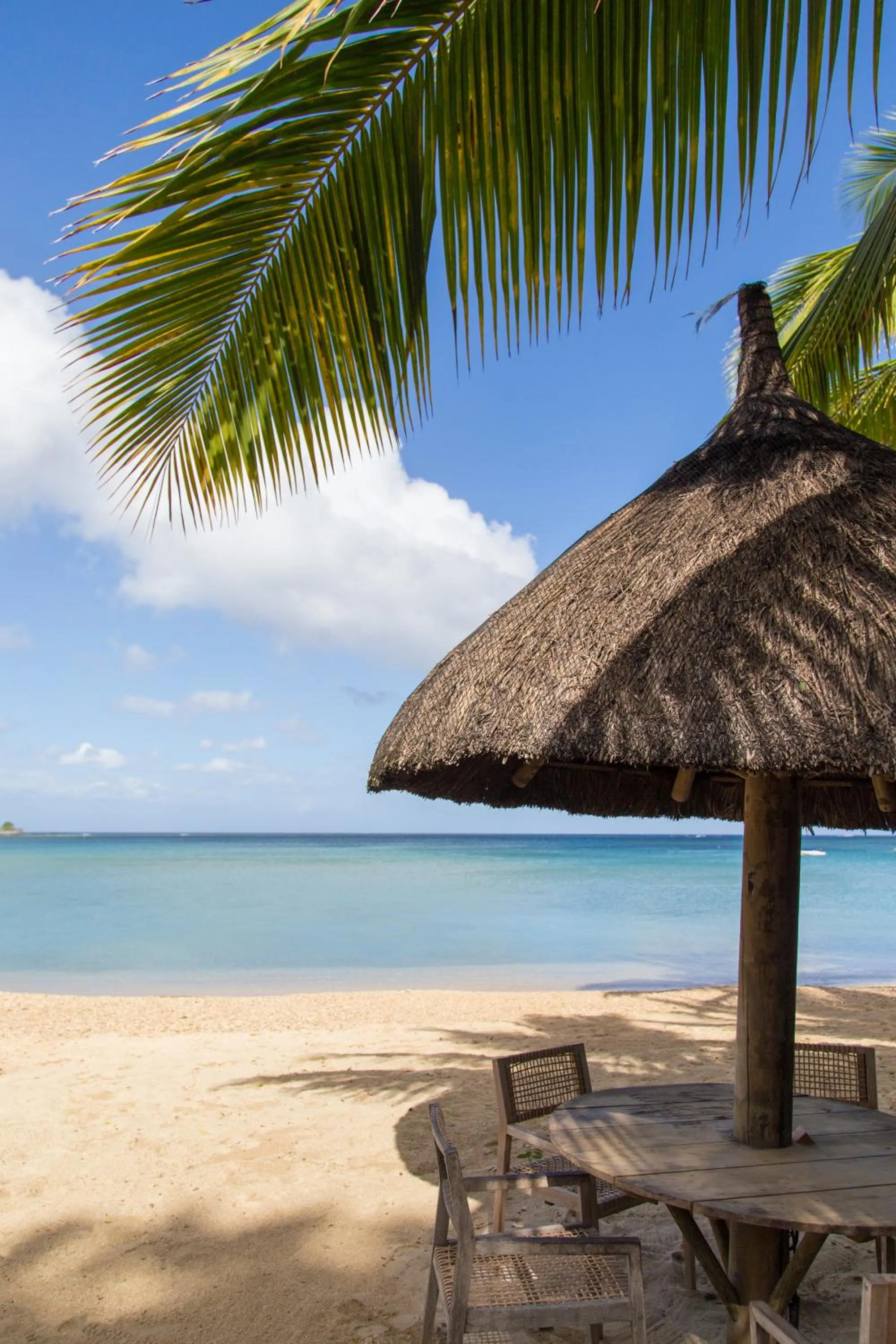 Beach in The Ravenala Attitude