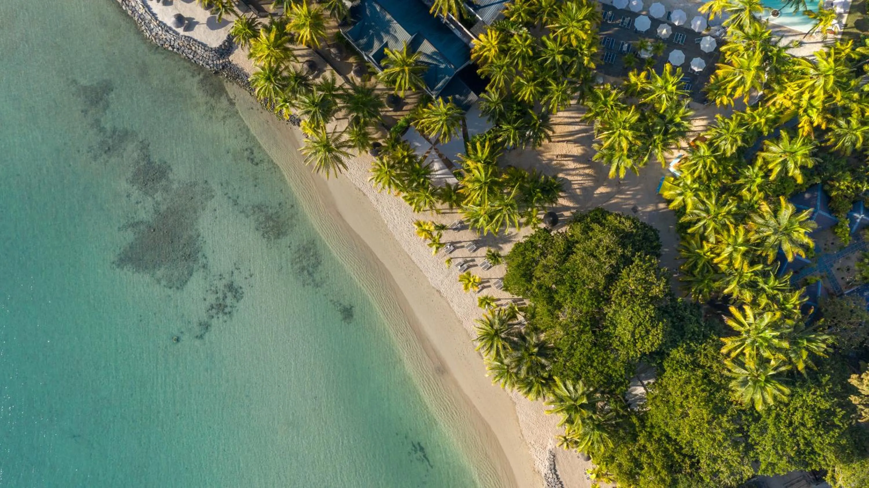 Beach in The Ravenala Attitude