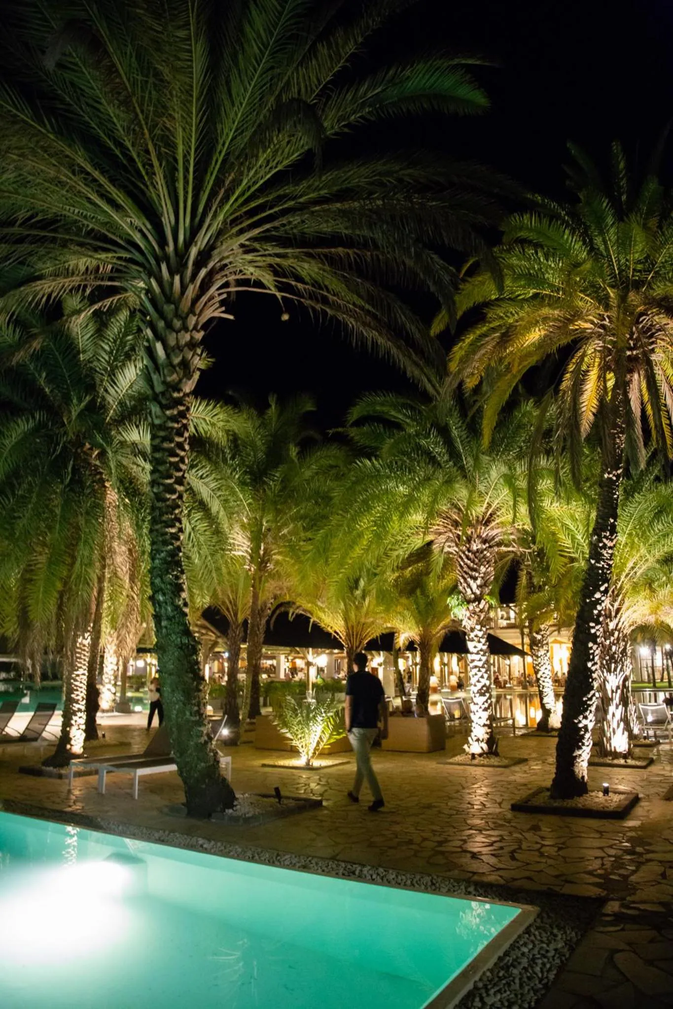 Night in The Ravenala Attitude