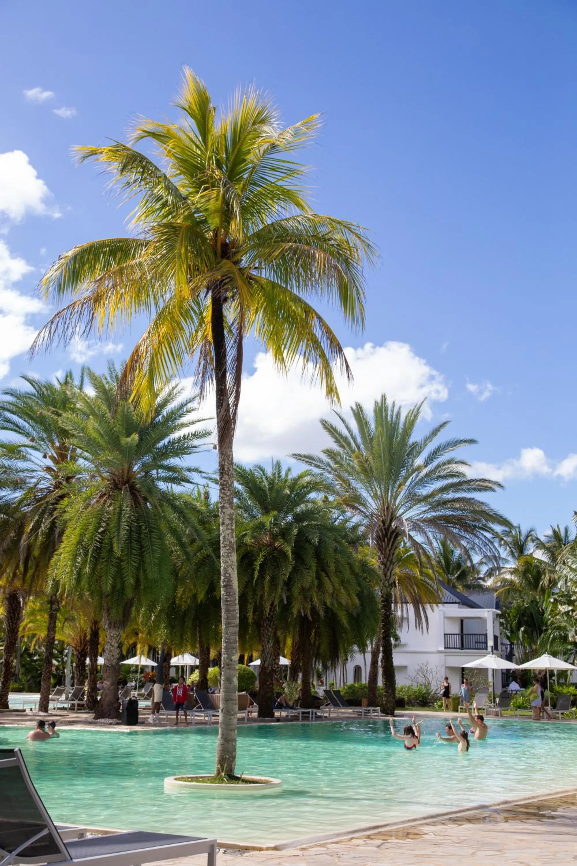 Activities in The Ravenala Attitude