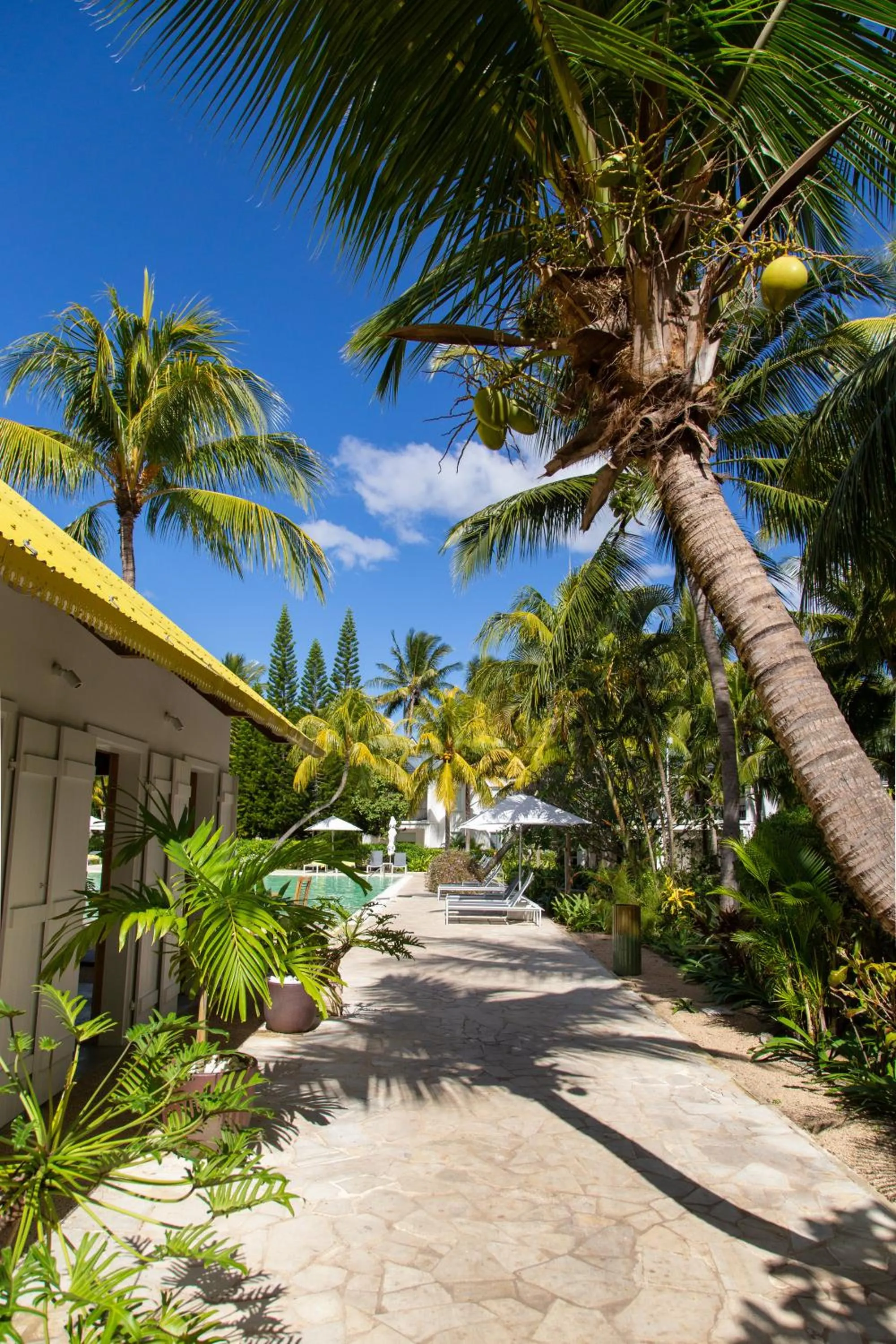 Garden in The Ravenala Attitude