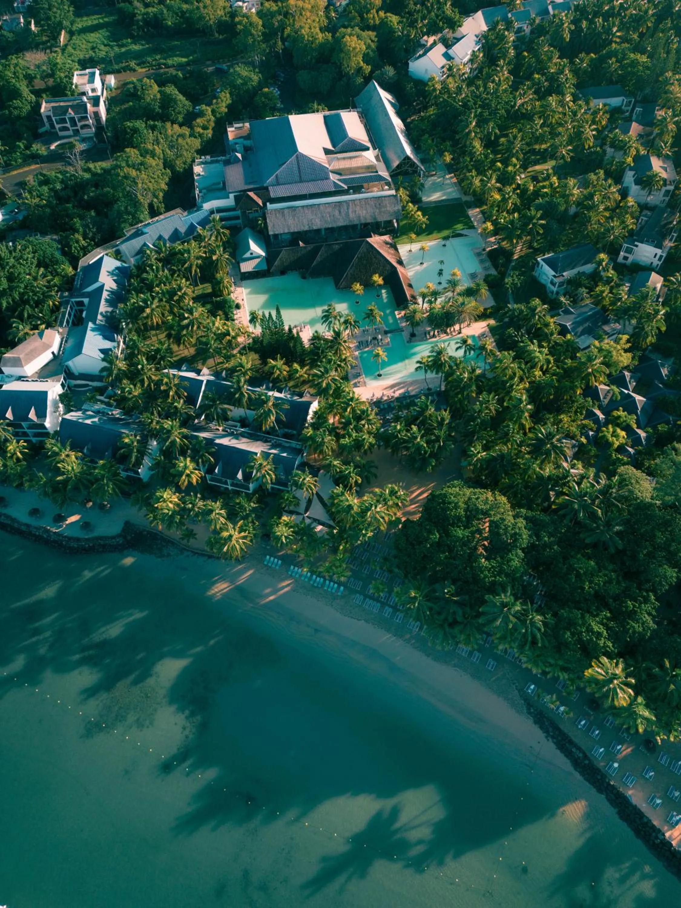 View (from property/room) in The Ravenala Attitude