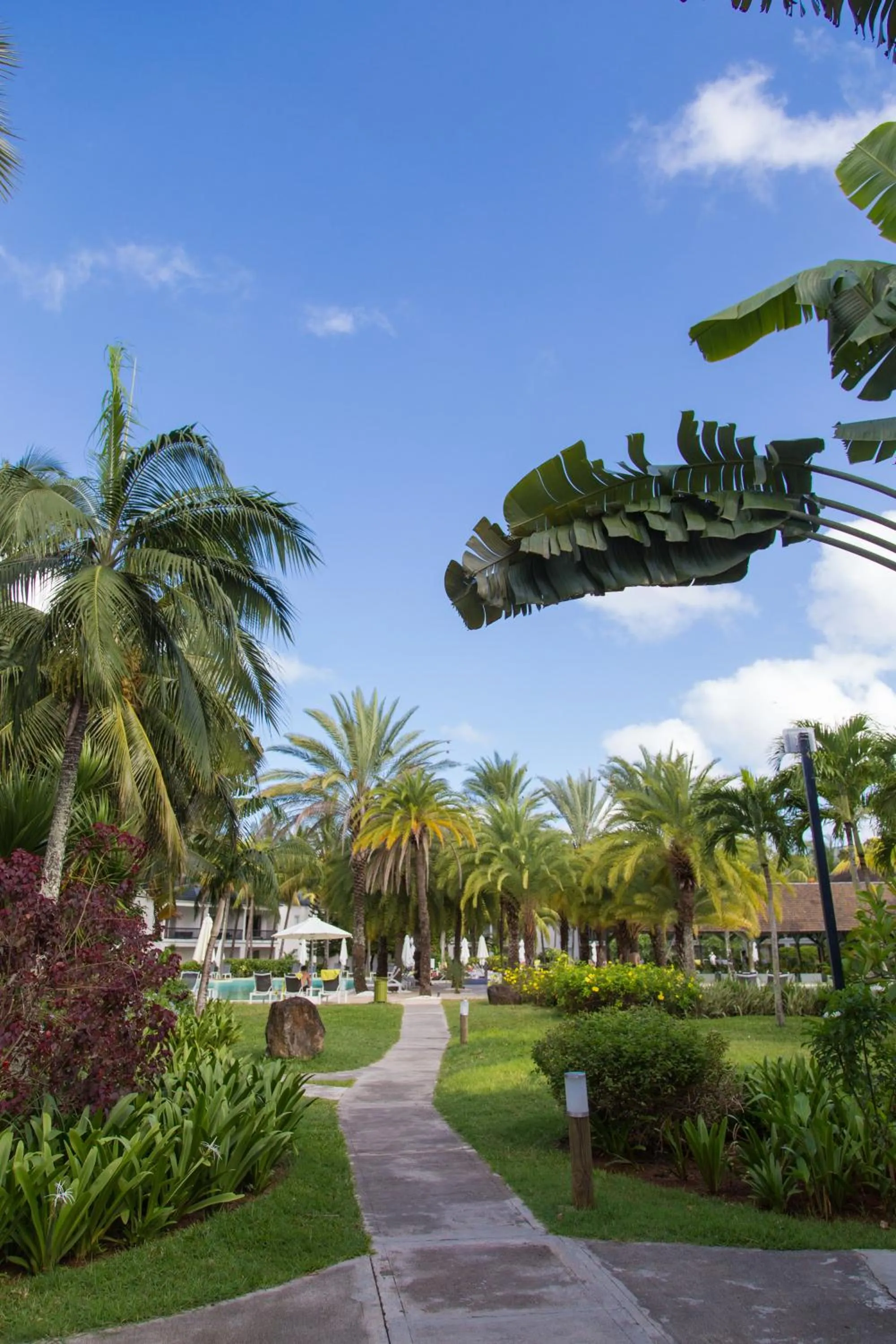 Garden in The Ravenala Attitude