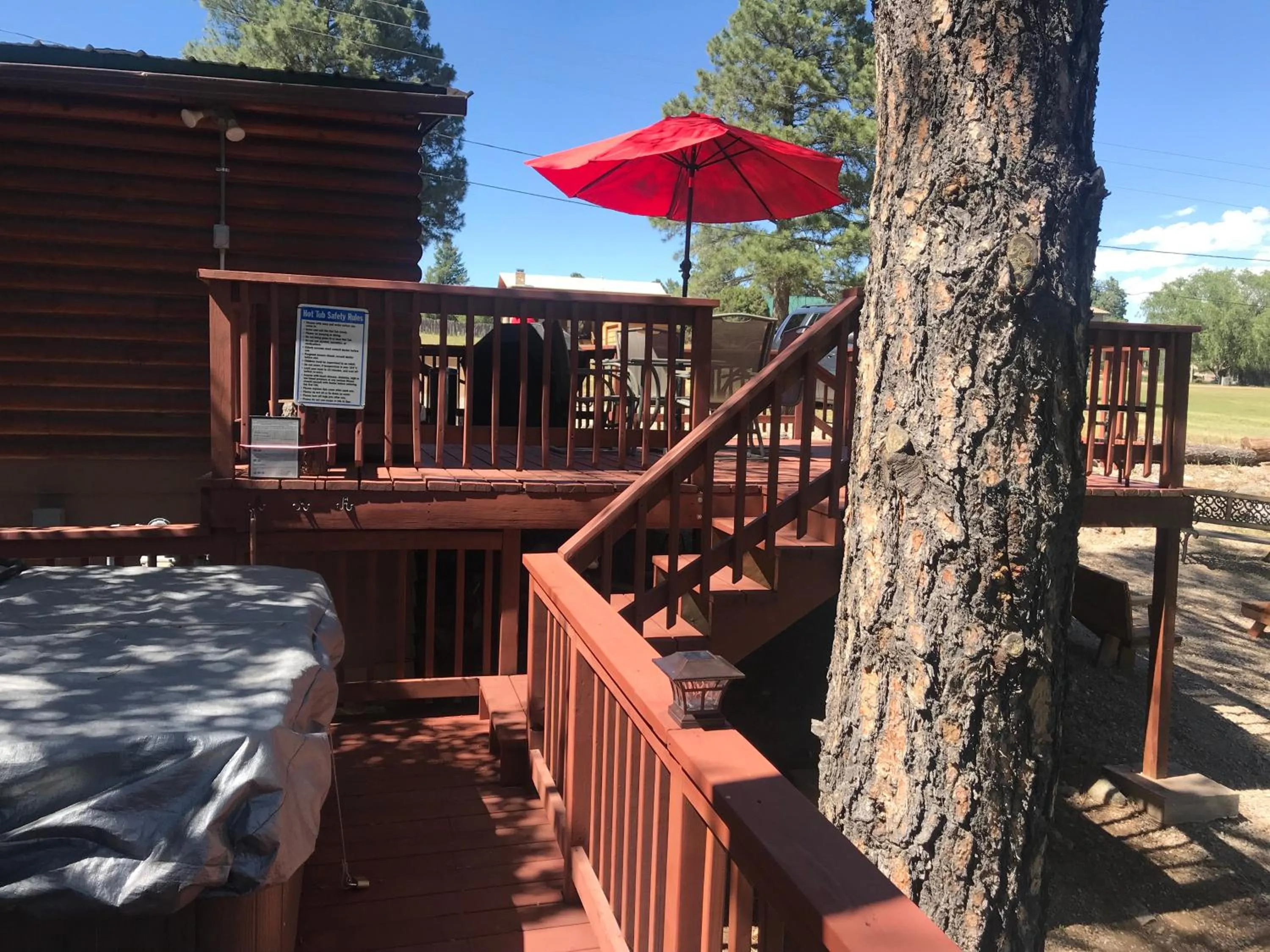 View (from property/room) in Gonzales Cozy Little Bear Cabin
