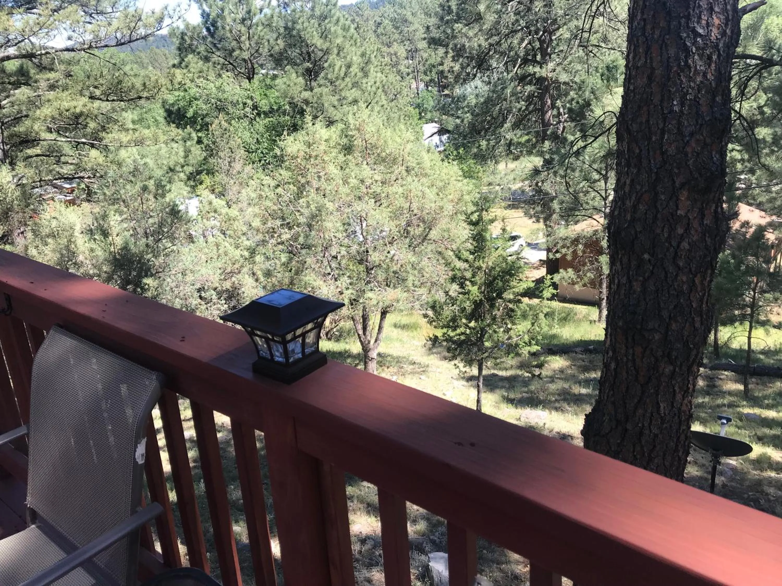 View (from property/room) in Gonzales Cozy Little Bear Cabin