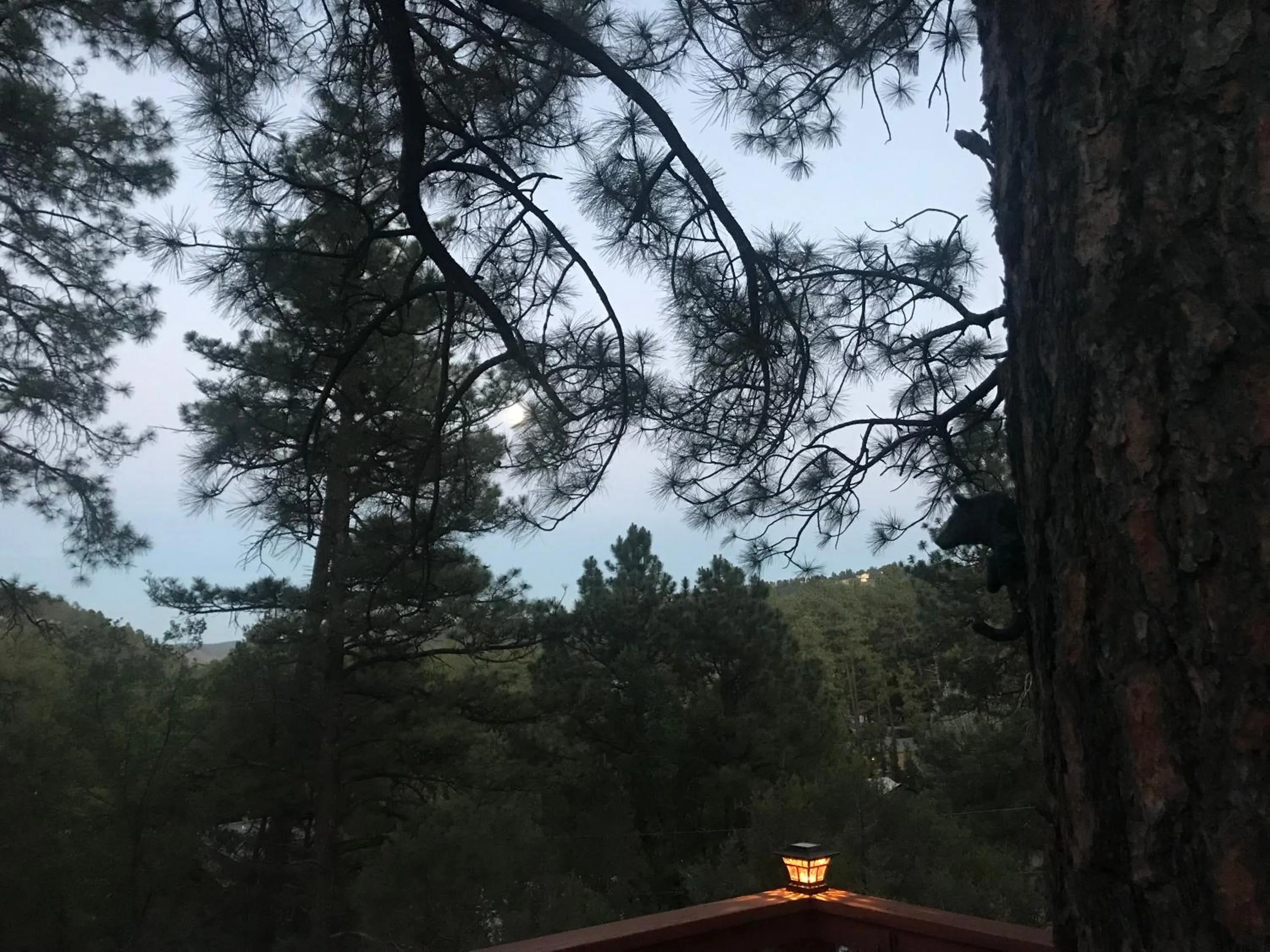 Natural landscape in Gonzales Cozy Little Bear Cabin