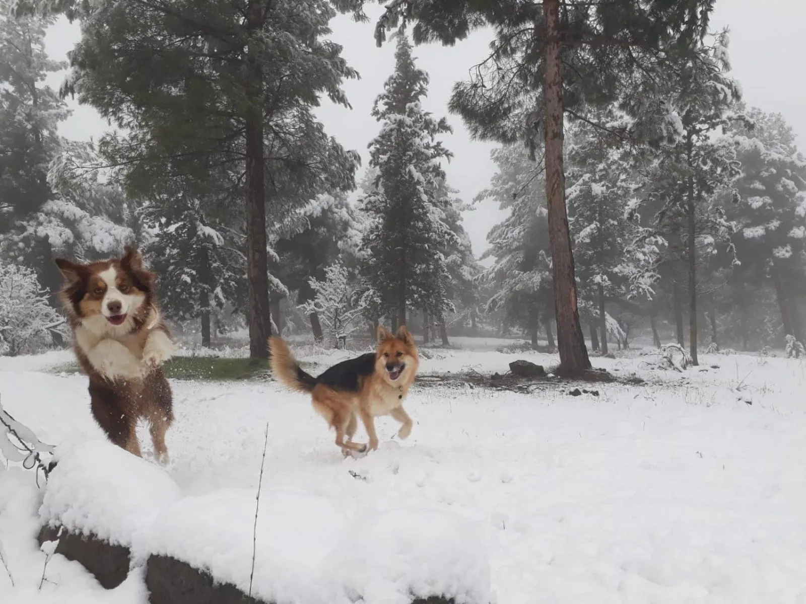 Winter in Gate Away B&B Units - המקום באל רום
