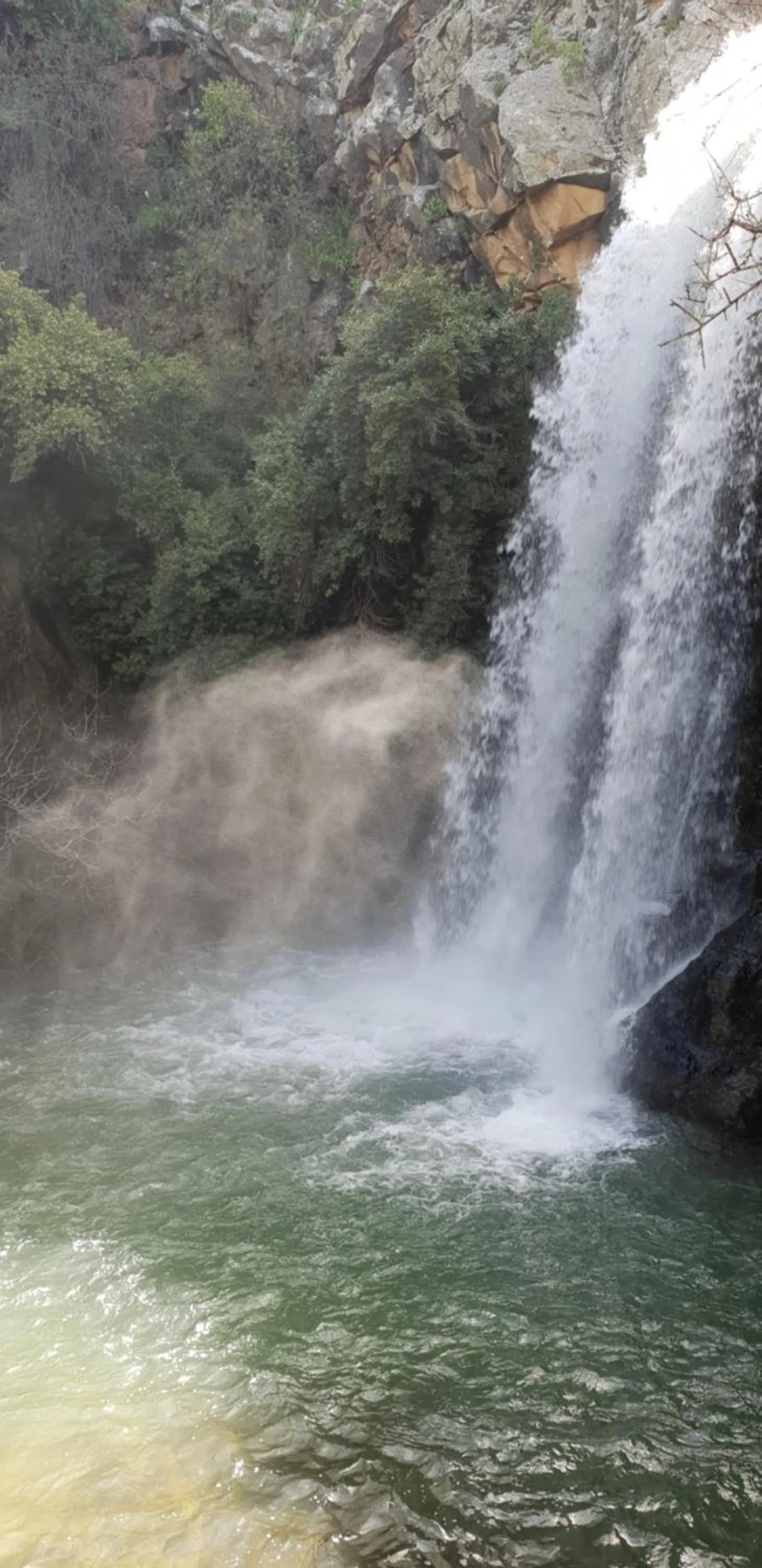 Gate Away B&B Units - המקום באל רום