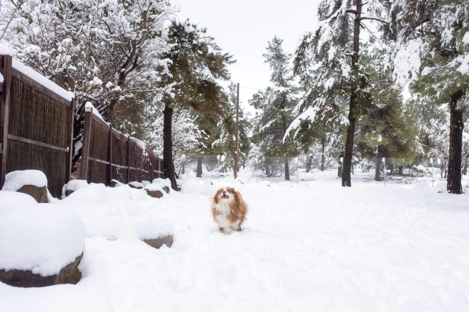 Gate Away B&B Units - המקום באל רום