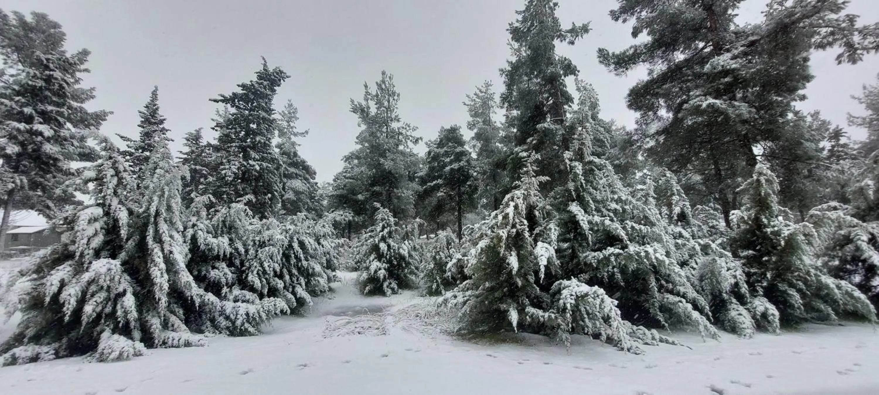 Gate Away B&B Units - המקום באל רום