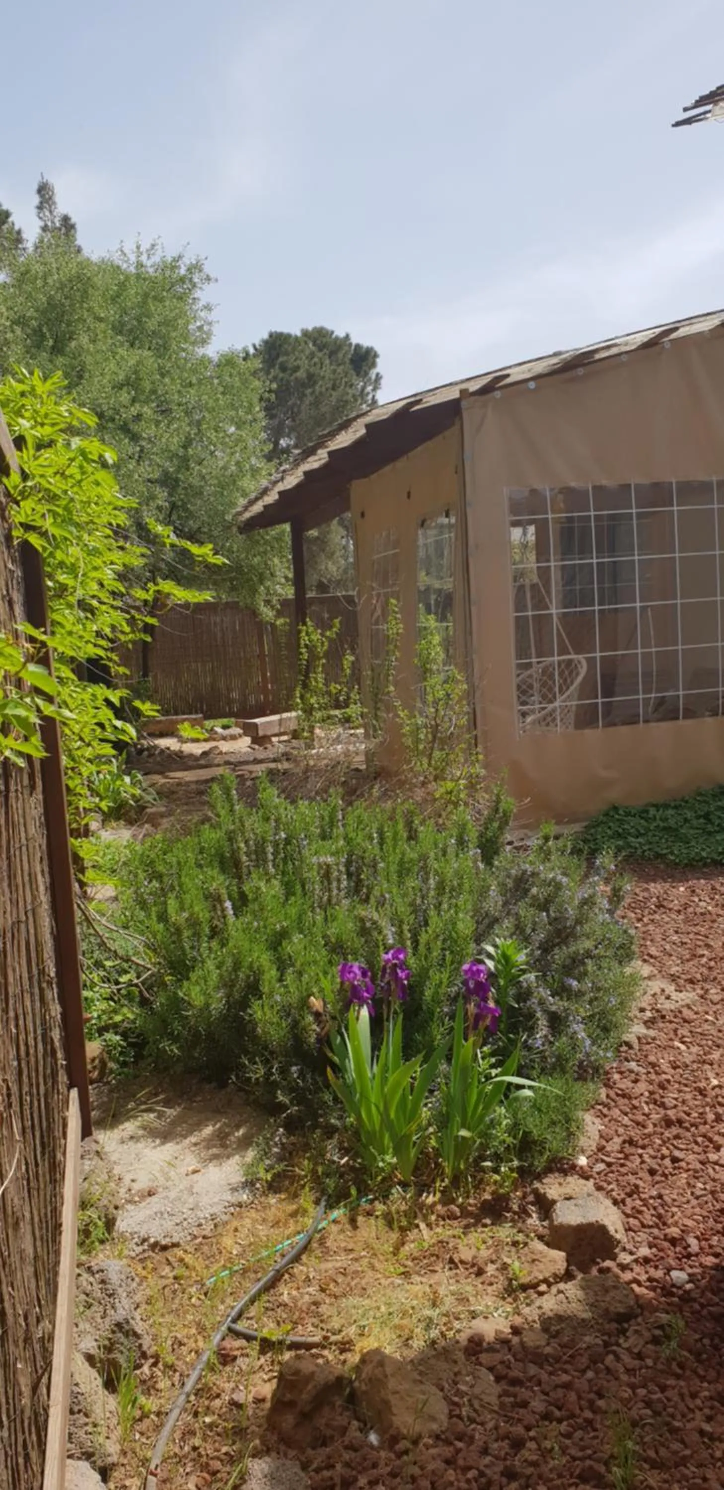 Gate Away B&B Units - המקום באל רום