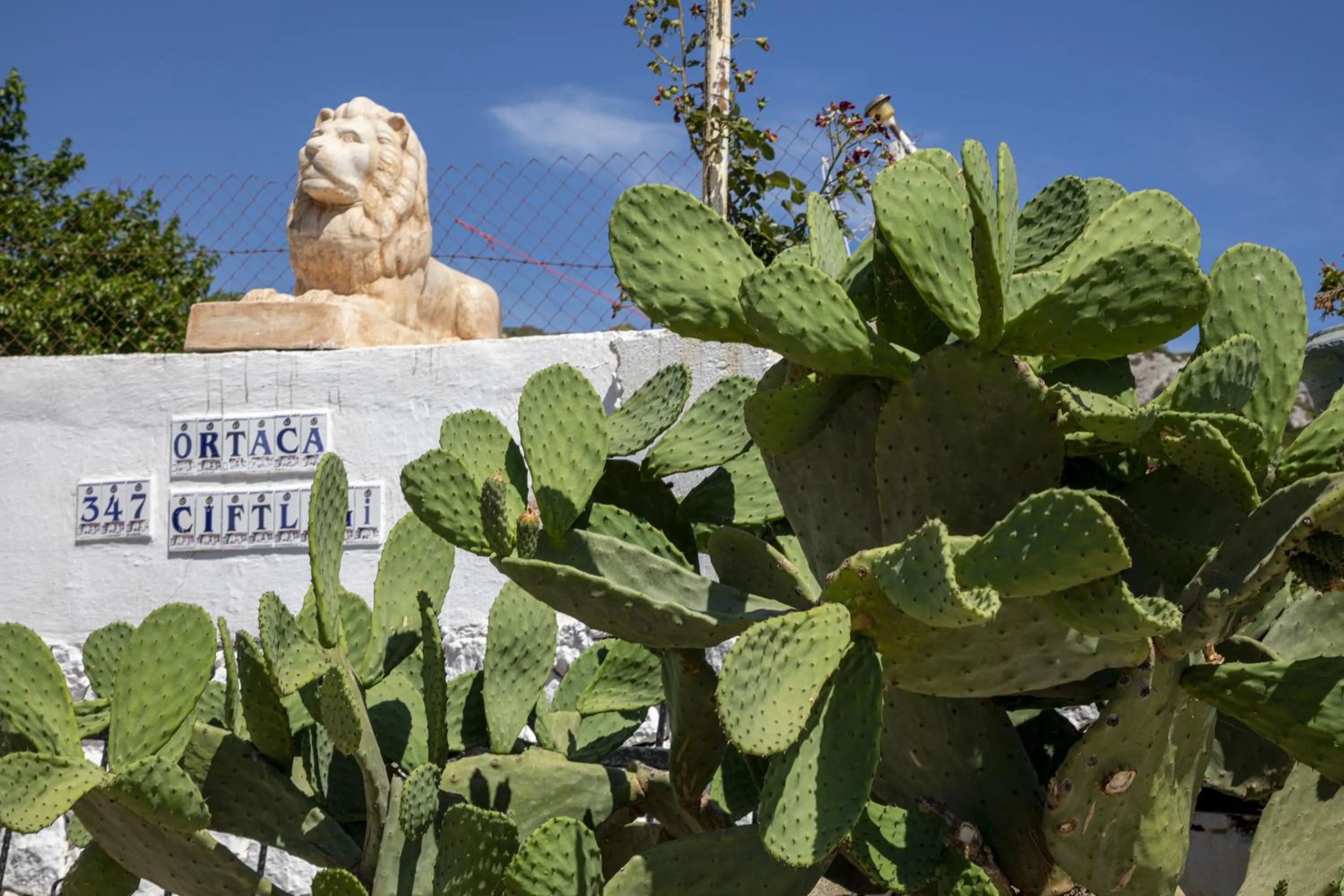 Facade/entrance in Goknar Knidos Eco Hotel & Farm