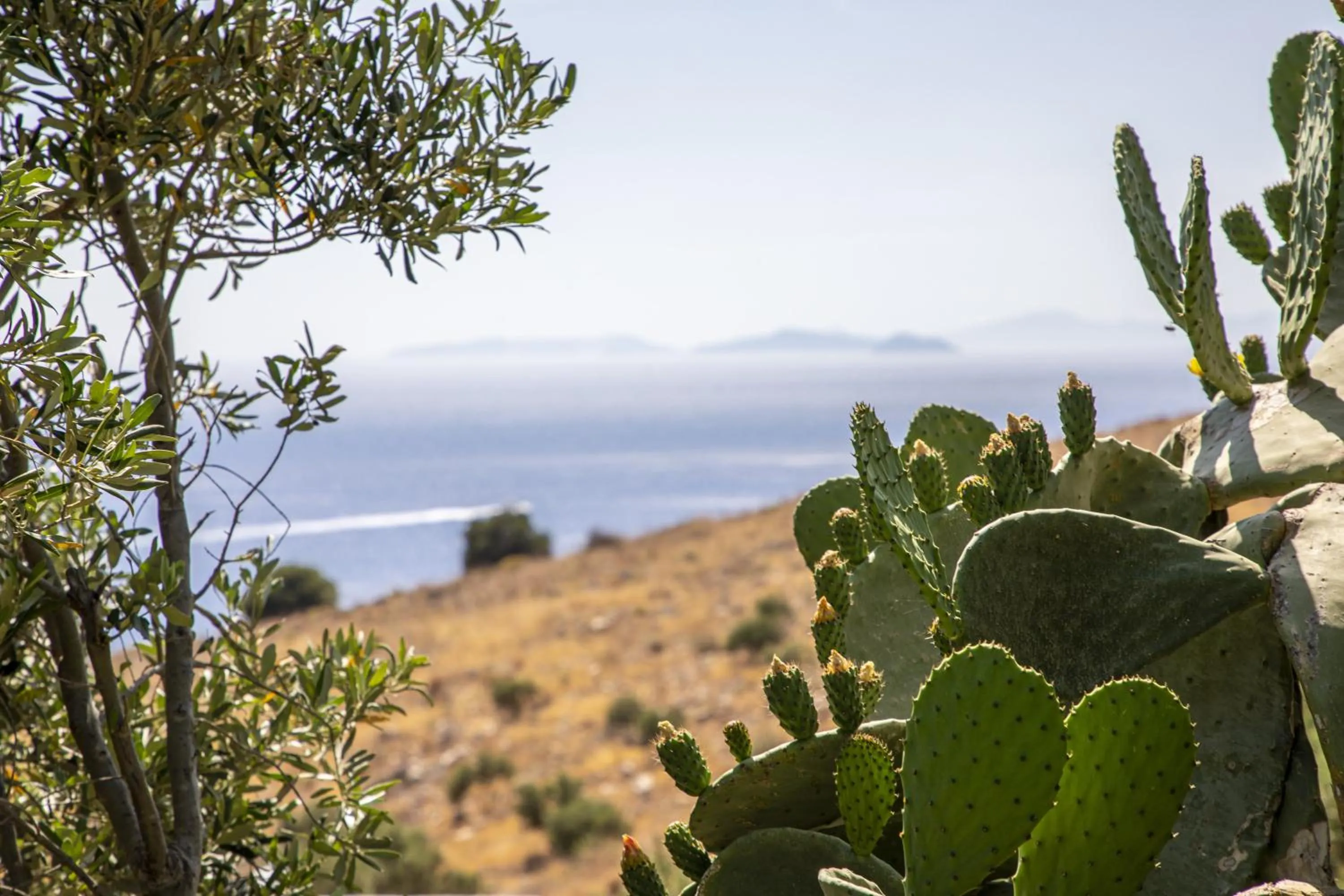 Natural landscape in Goknar Knidos Eco Hotel & Farm