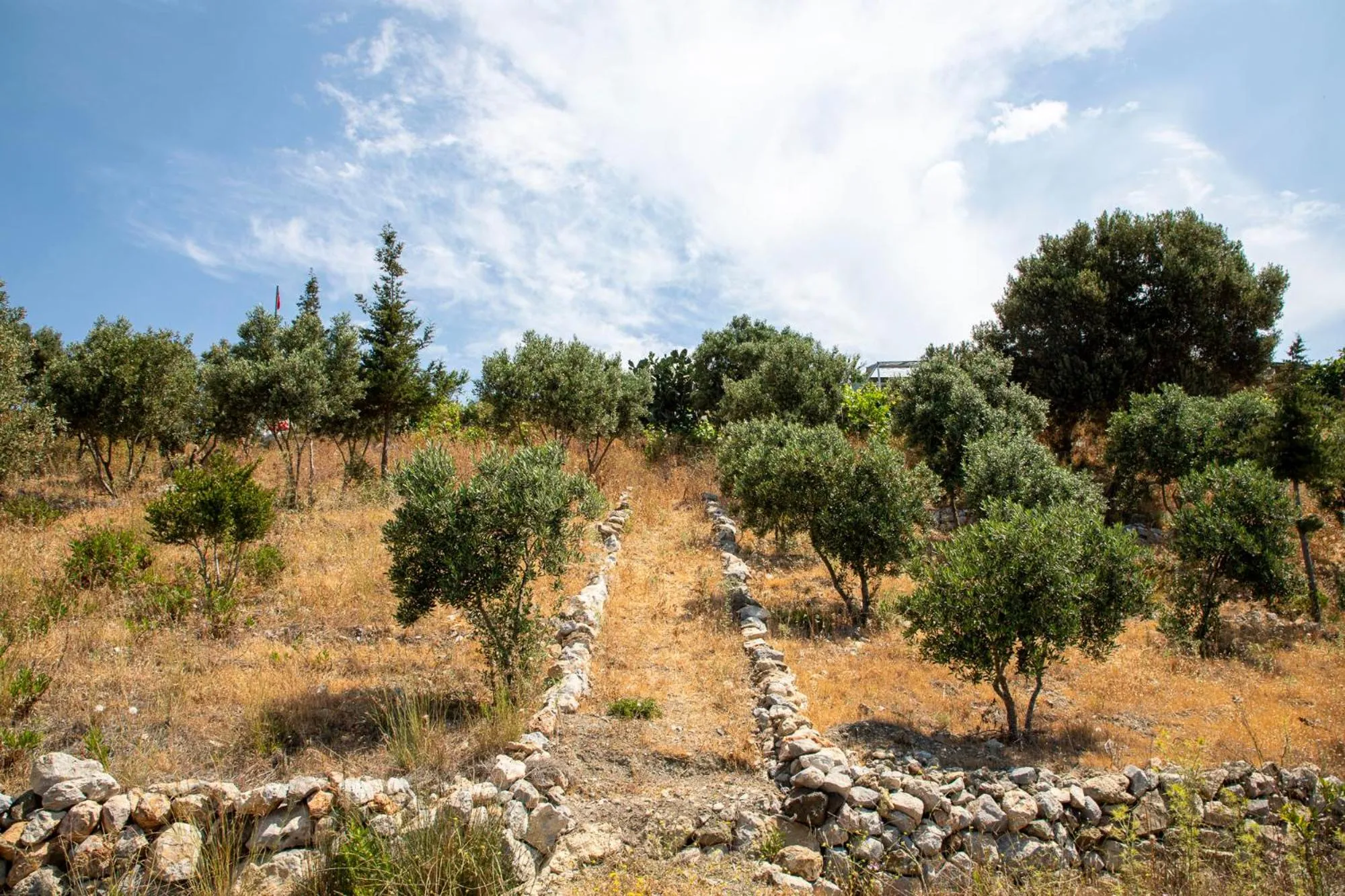Natural landscape in Goknar Knidos Eco Hotel & Farm