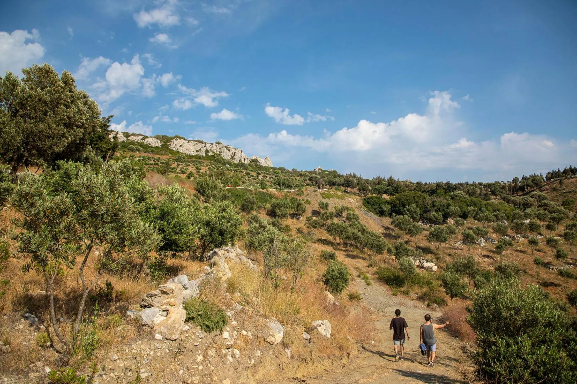 Natural landscape in Goknar Knidos Eco Hotel & Farm