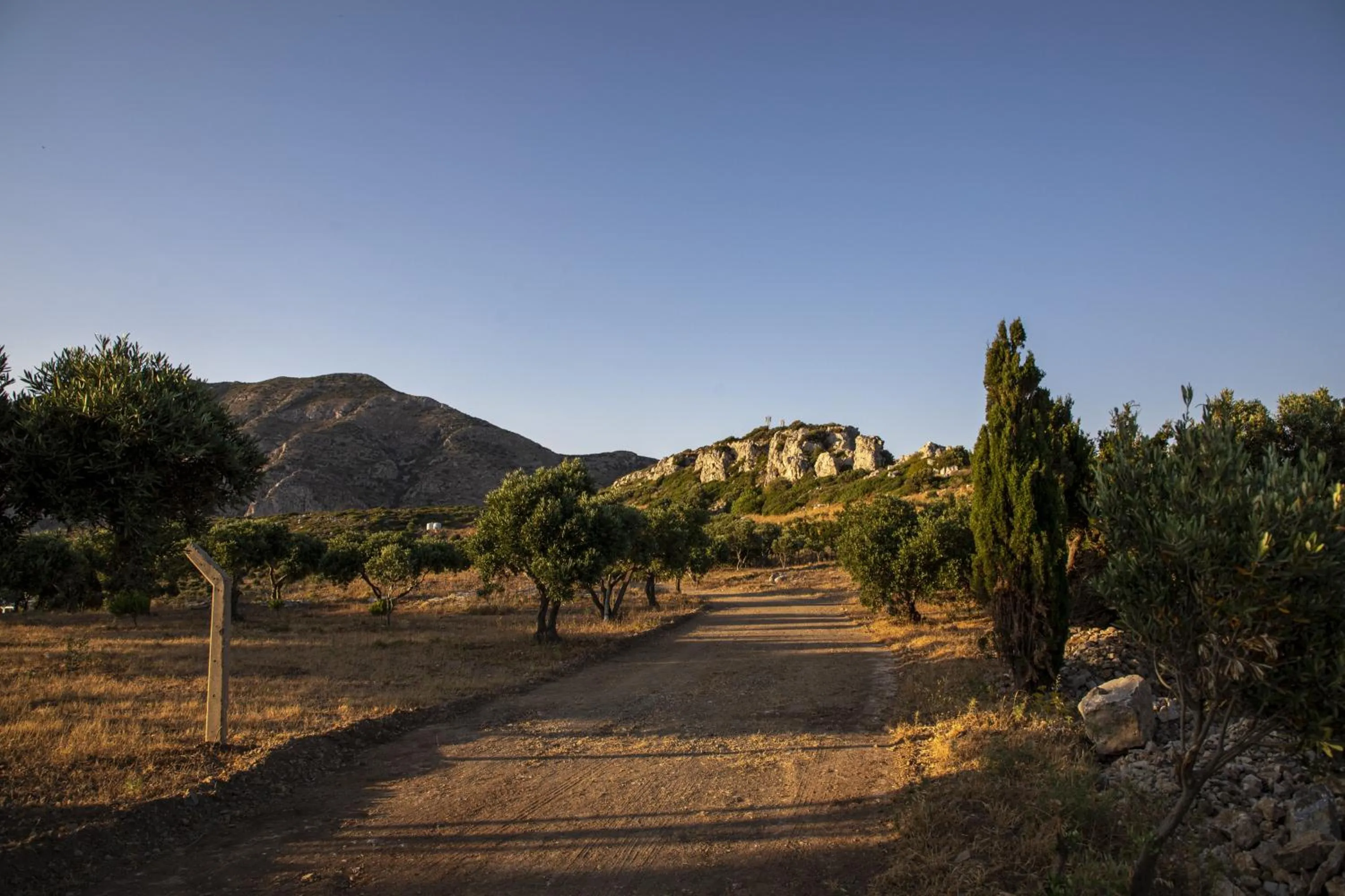 Natural landscape in Goknar Knidos Eco Hotel & Farm