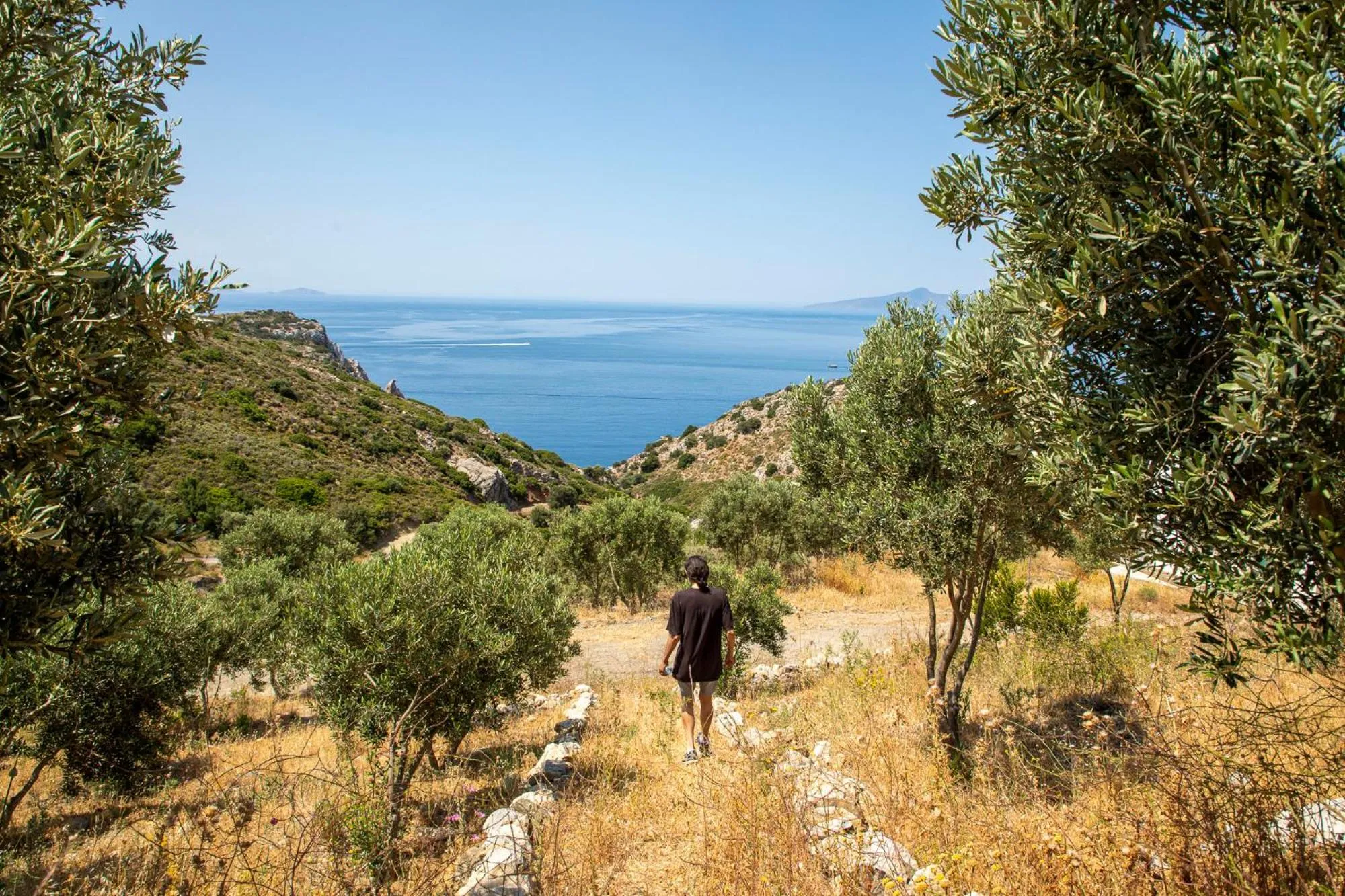 Natural landscape in Goknar Knidos Eco Hotel & Farm