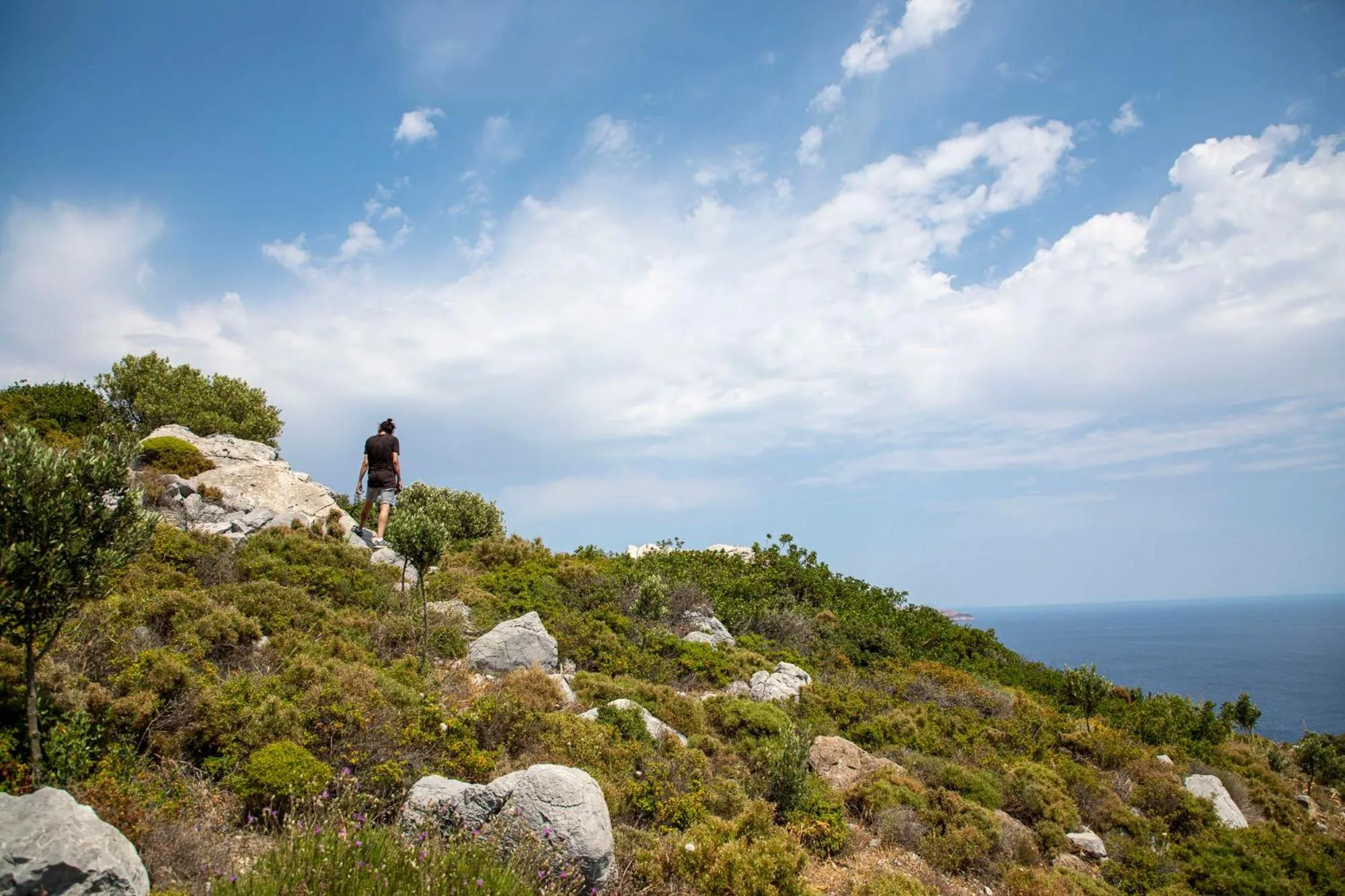 Natural landscape in Goknar Knidos Eco Hotel & Farm