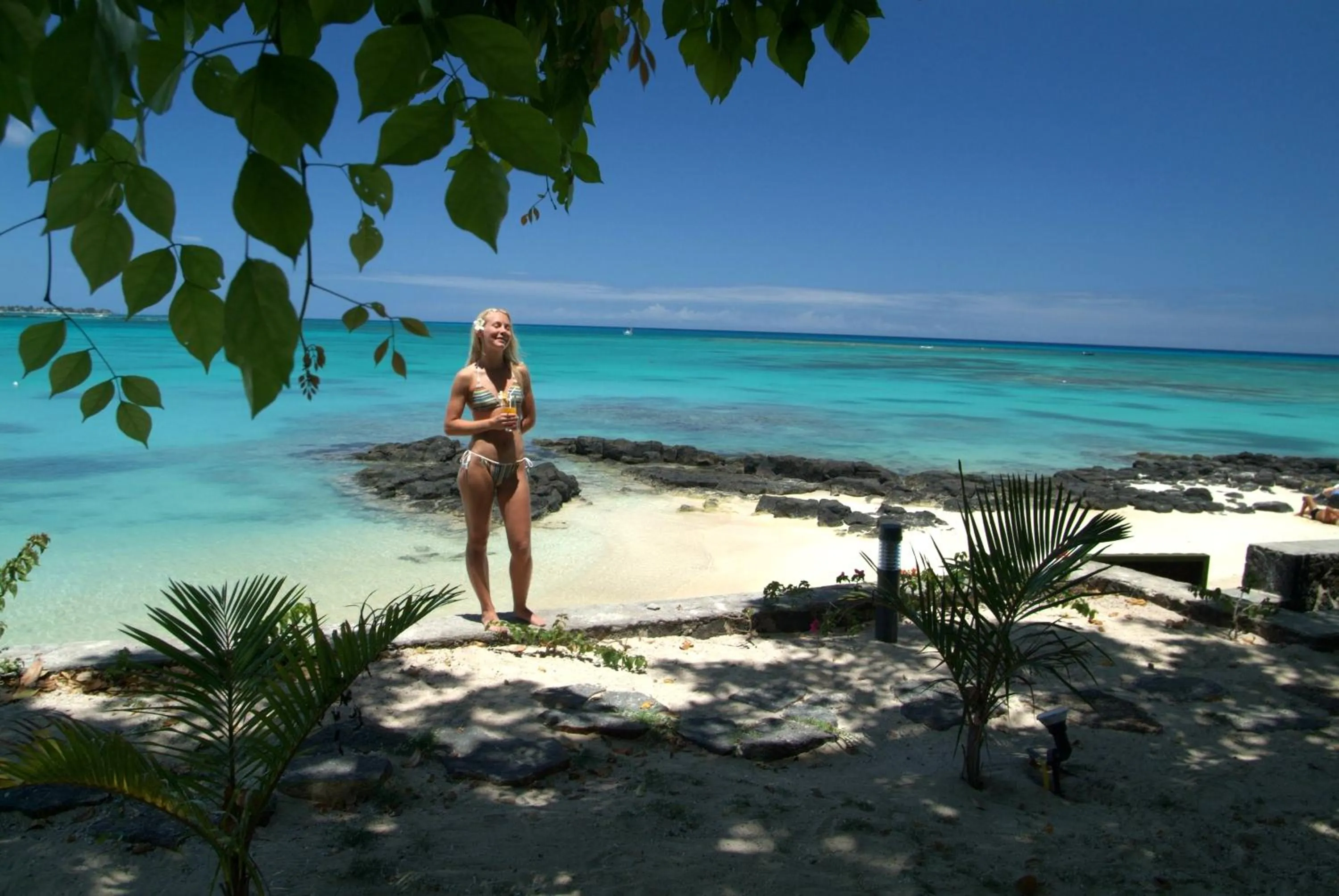 Beach in Ocean Beauty