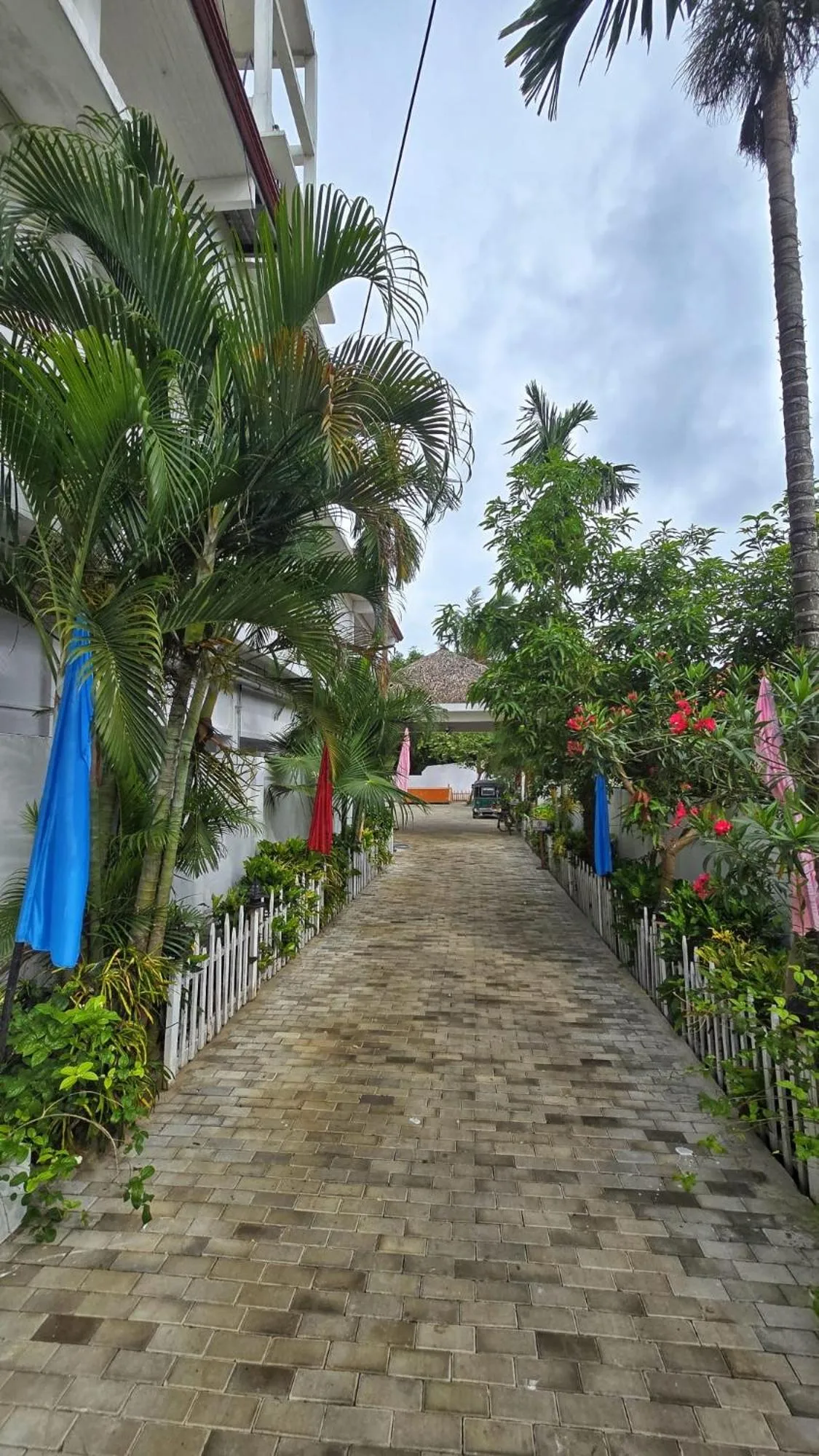 Garden in Thisha Hotel & Restaurant