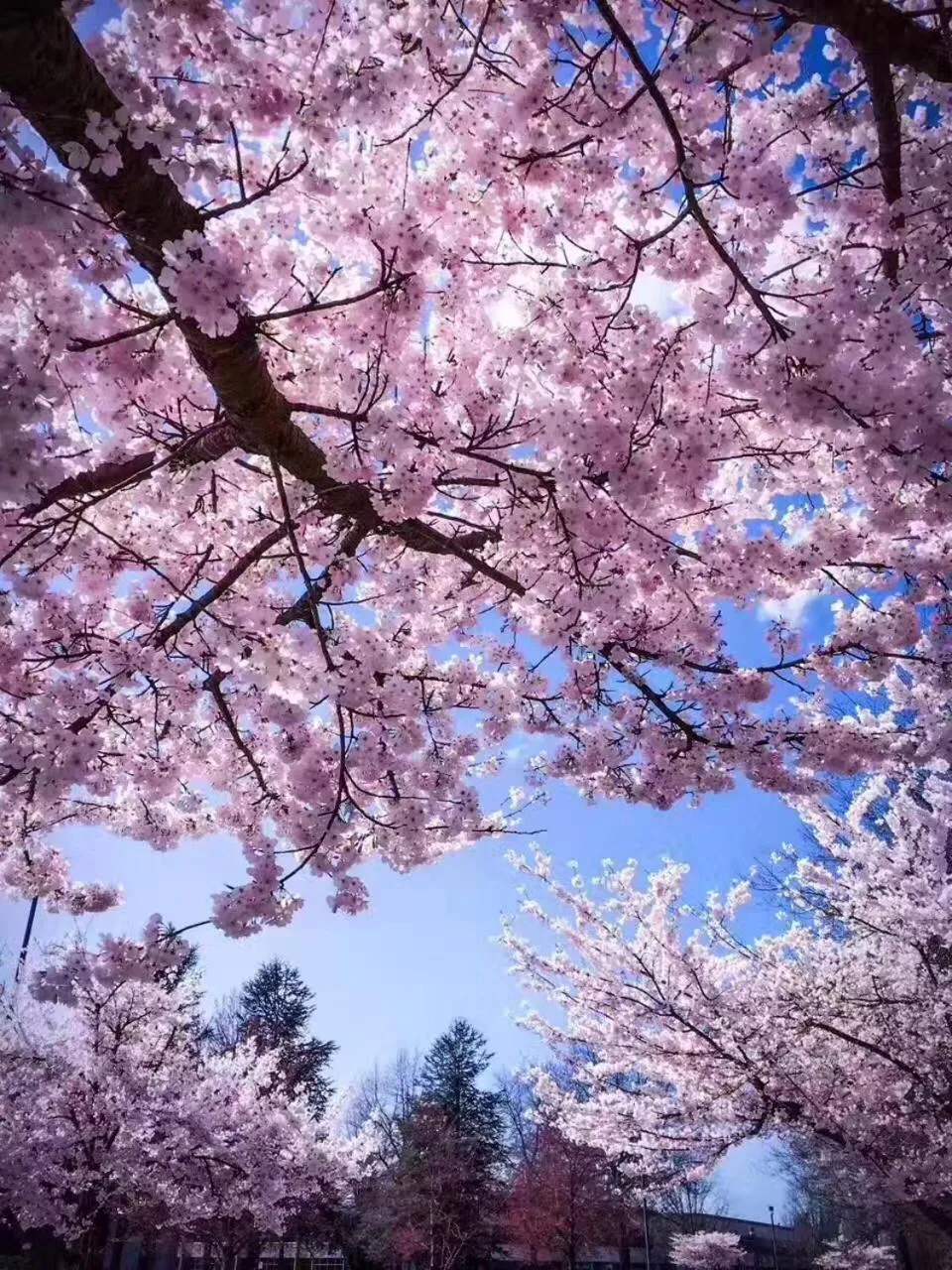 The Sunshine House-Free Parking