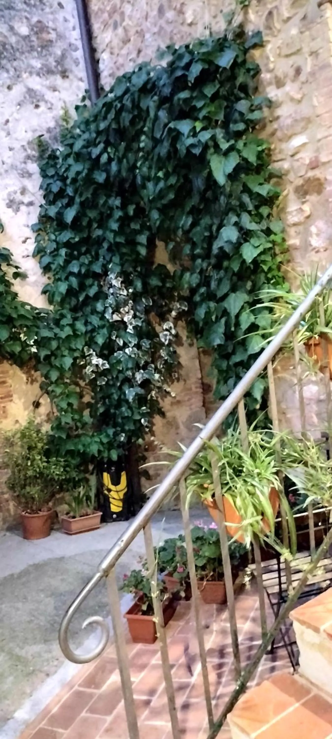 Inner courtyard view in Antico Borgo di Torri