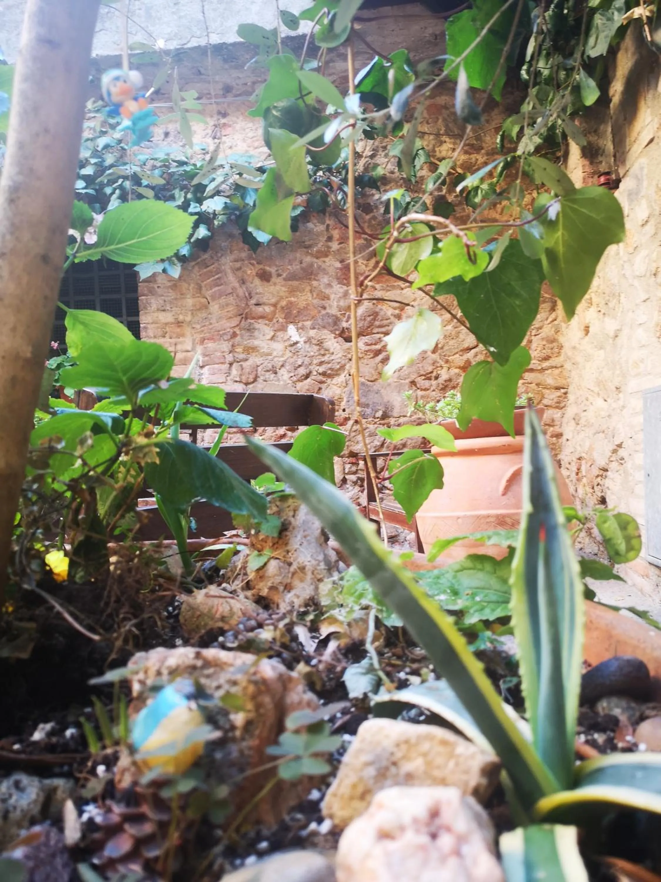 Patio in Antico Borgo di Torri
