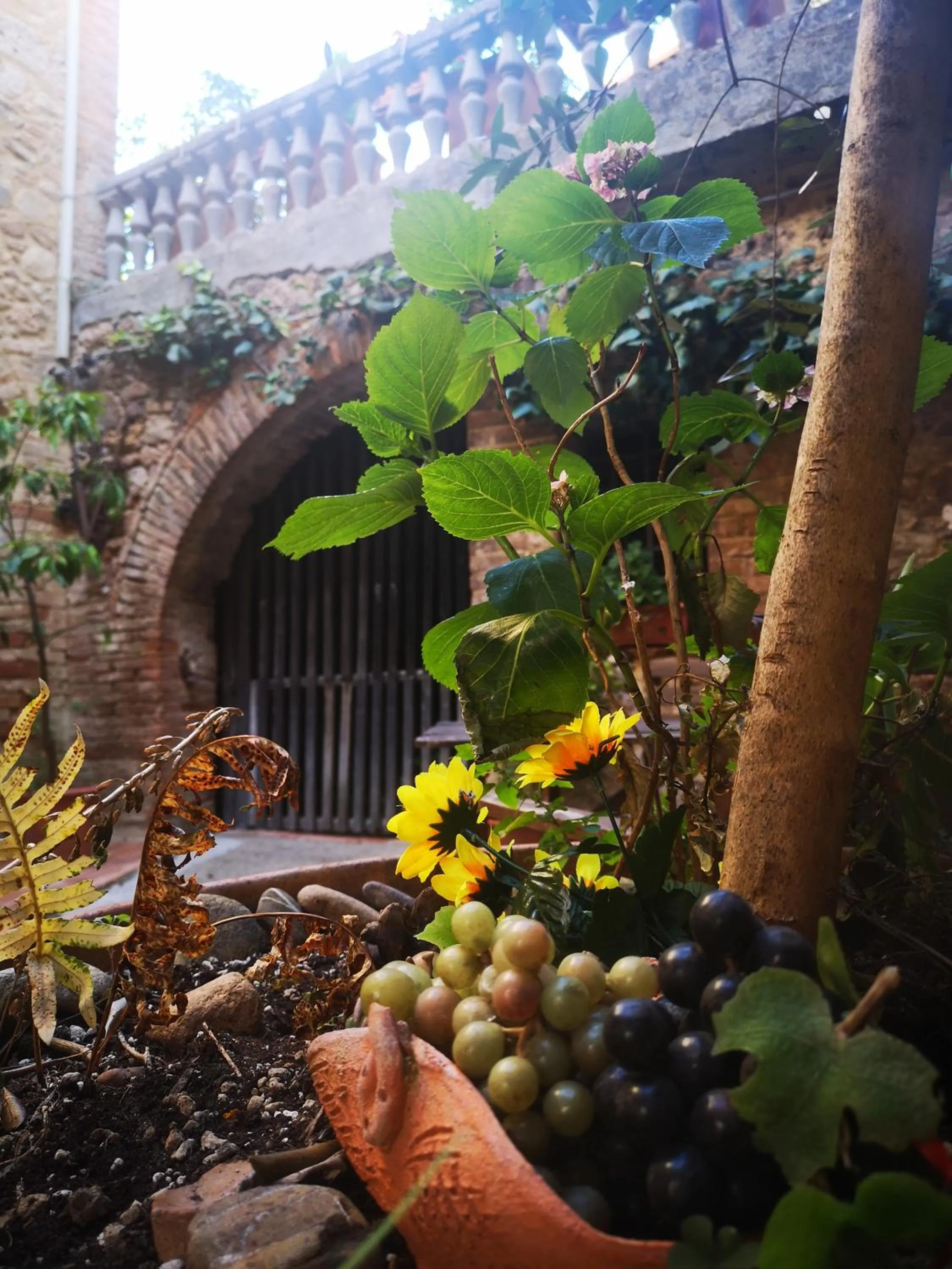 Patio in Antico Borgo di Torri