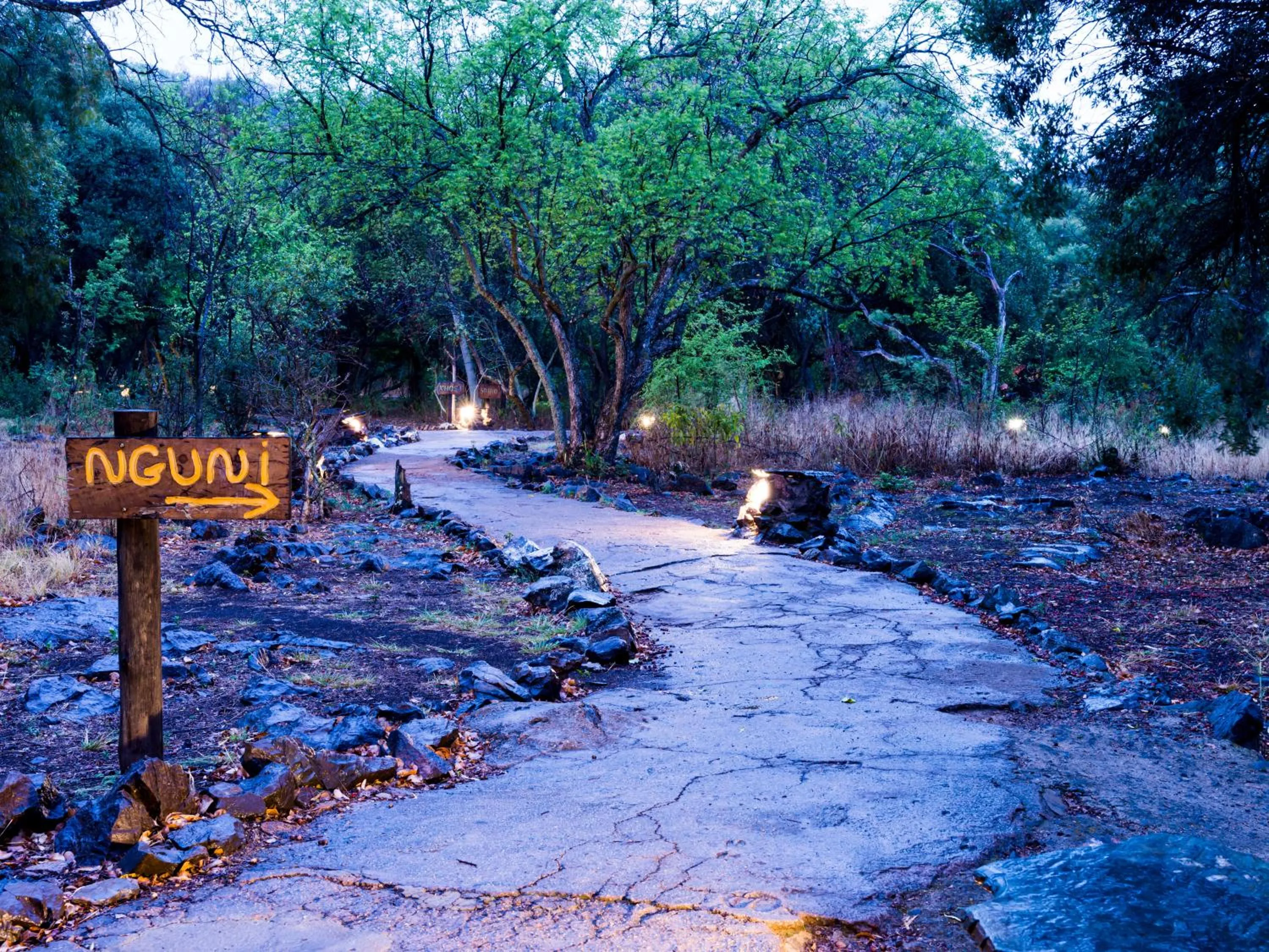 View (from property/room) in aha Lesedi African Lodge & Cultural Village