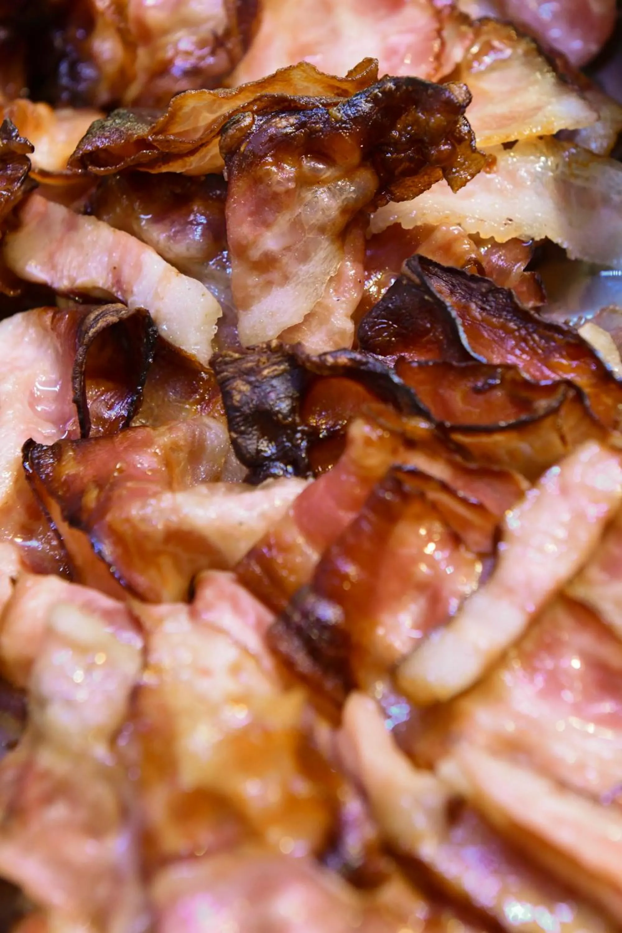 Restaurant/places to eat in Hotel Eden