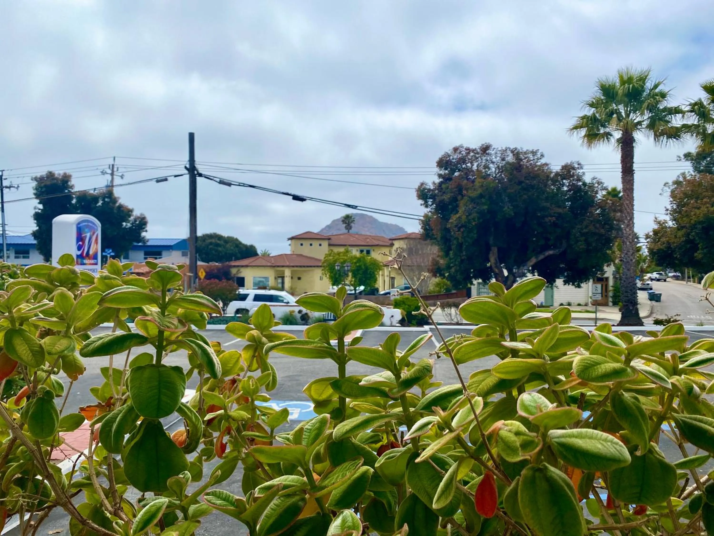 View (from property/room) in Masterpiece Hotel