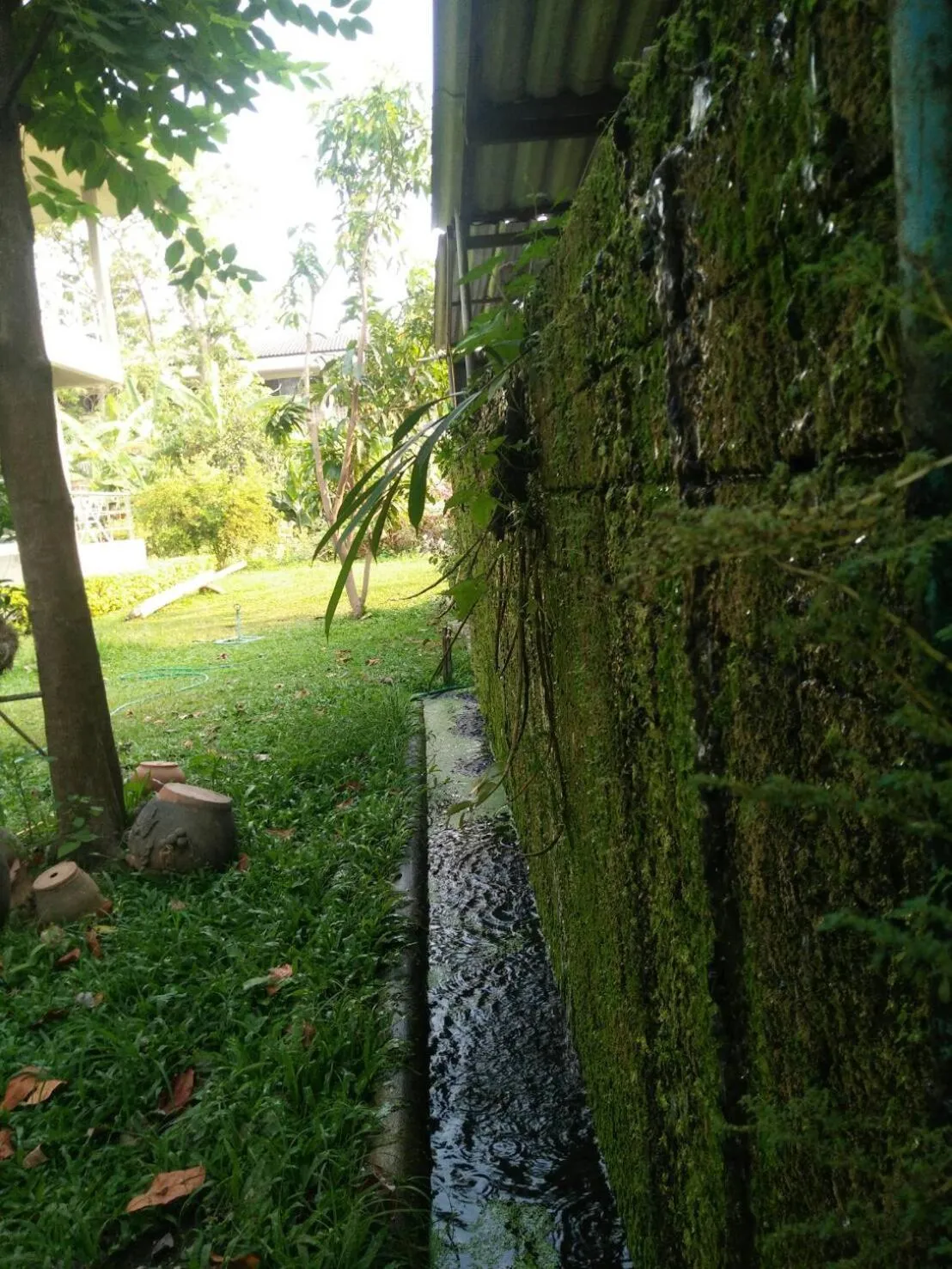 Property building, Garden in GongKaew HuenKum Hotel