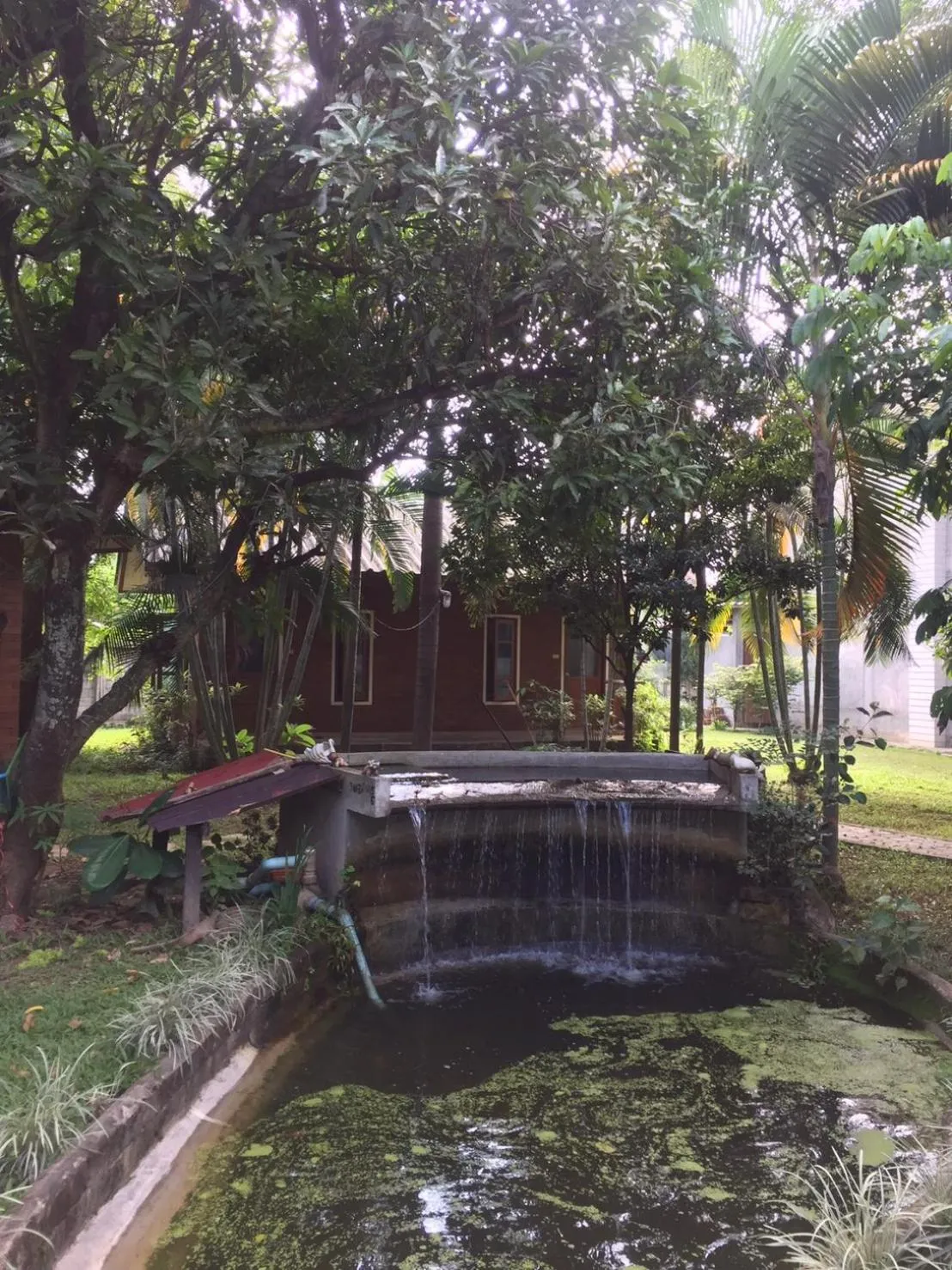 Garden in GongKaew HuenKum Hotel