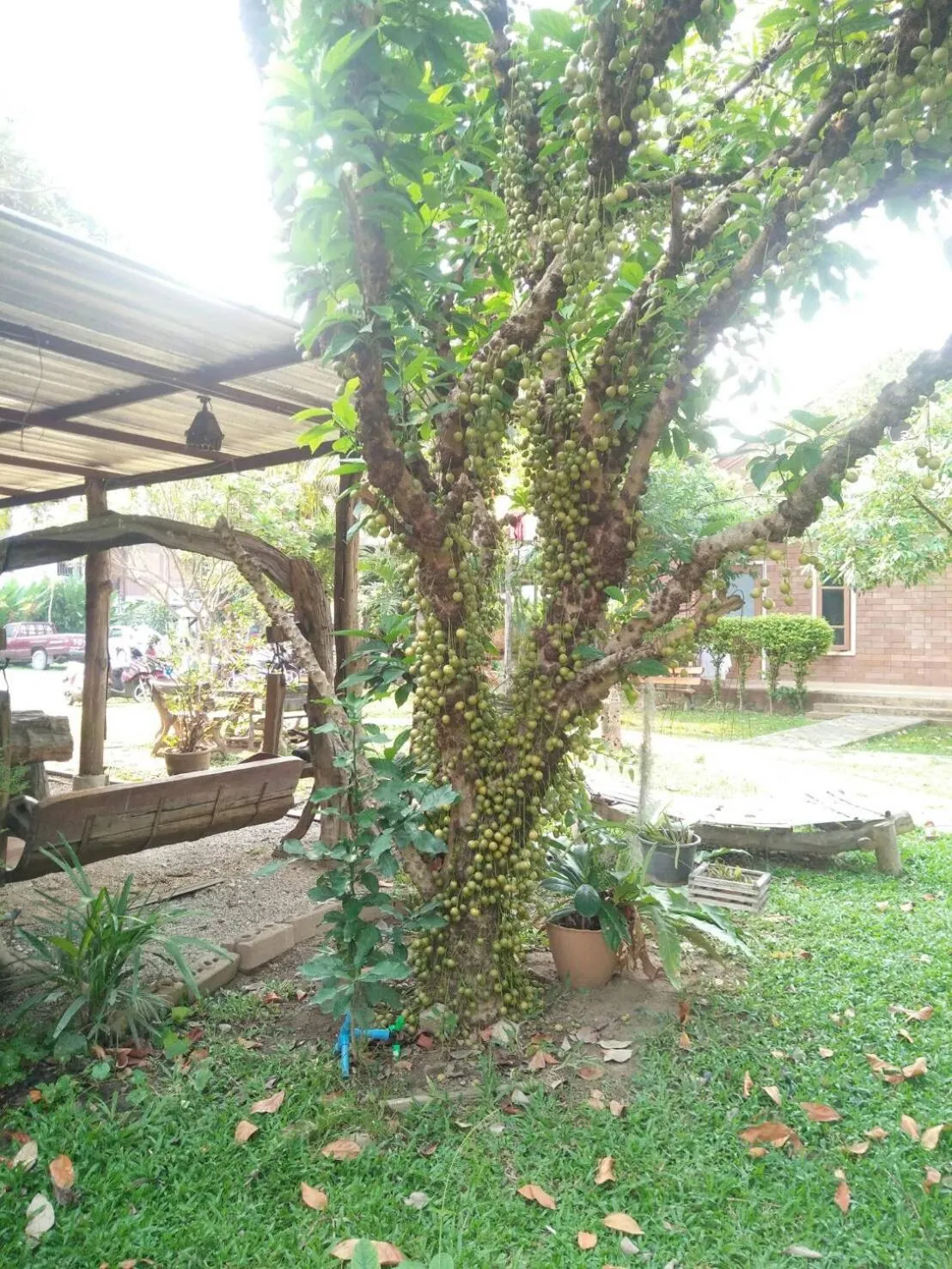 Property building, Garden in GongKaew HuenKum Hotel