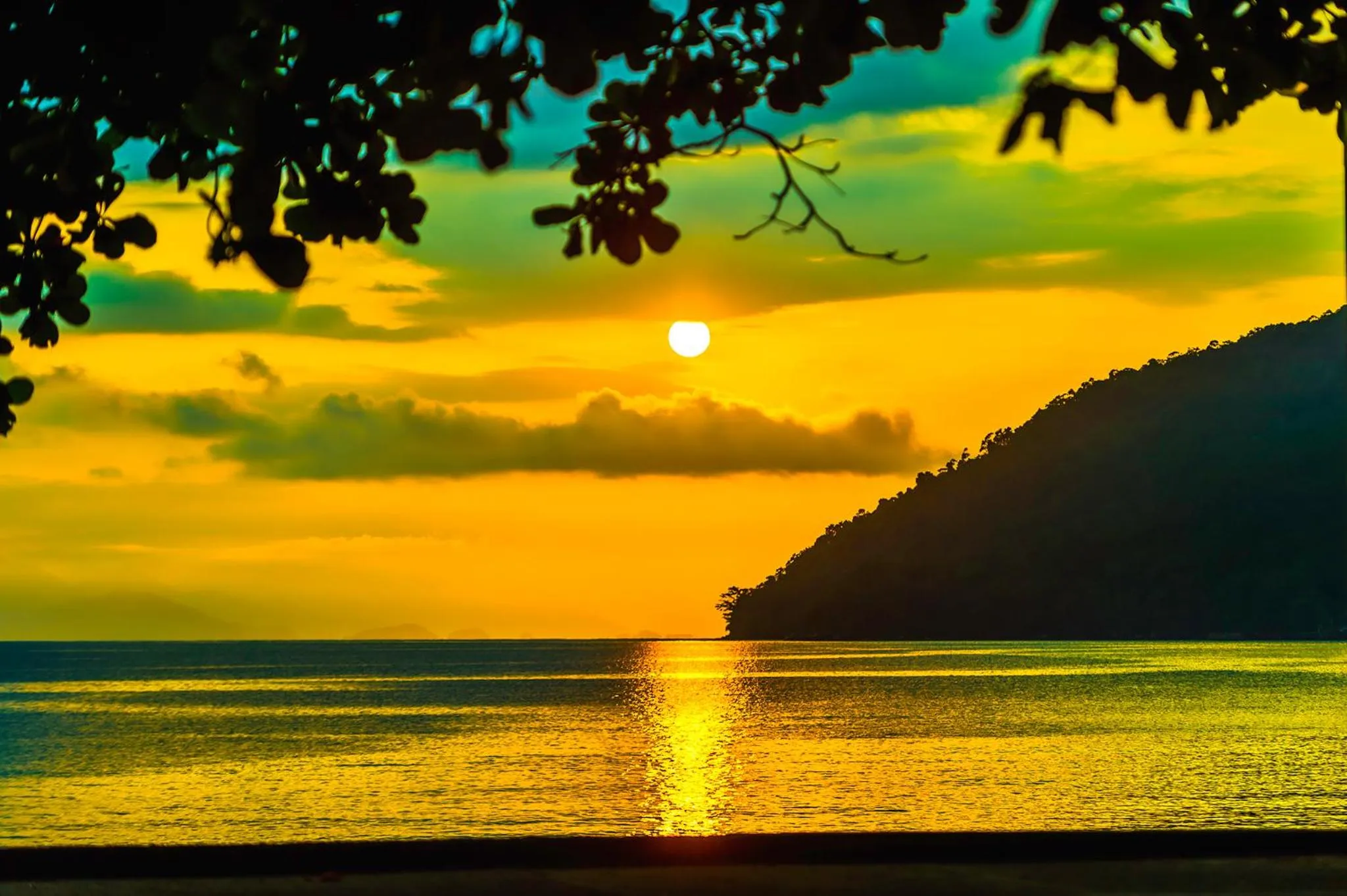 Natural landscape in Hotel Villa Di Rimini