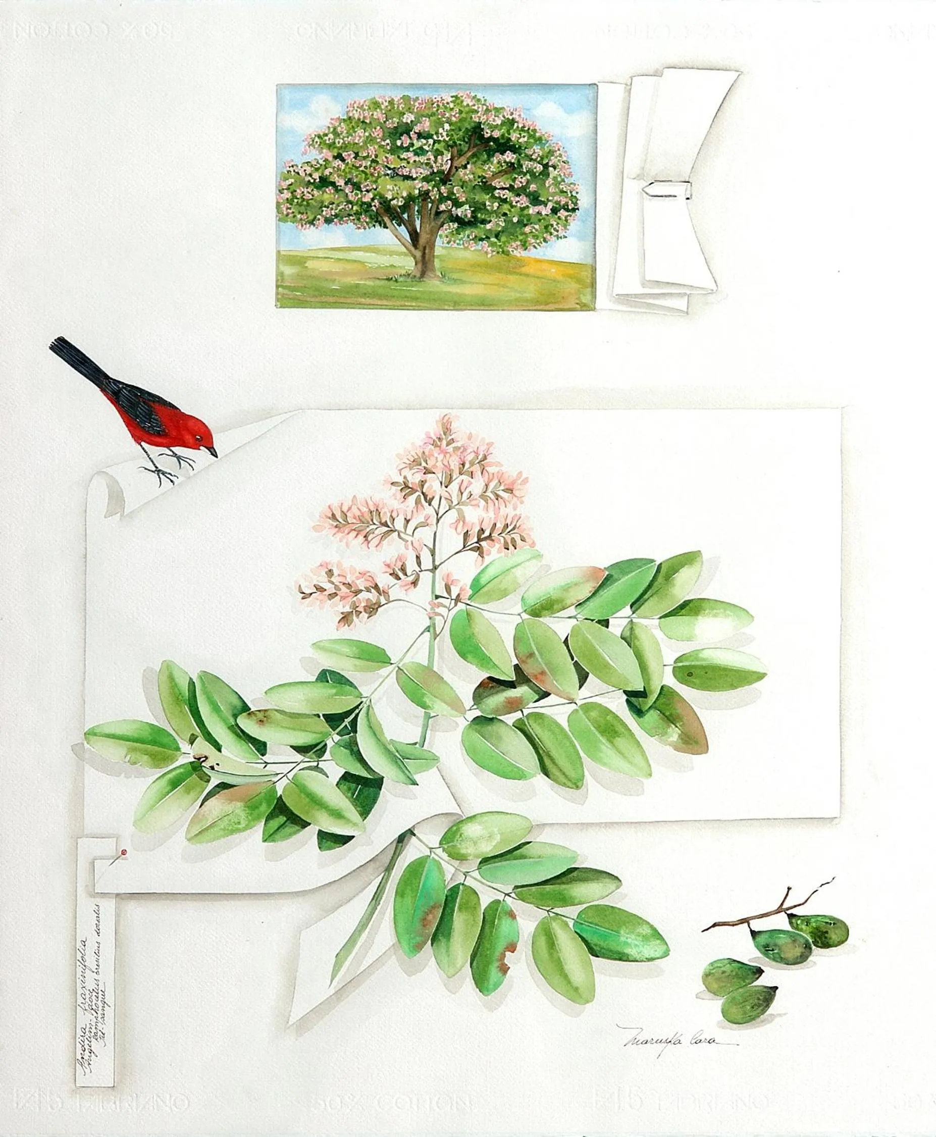 Decorative detail in Mata N'ativa Pousada