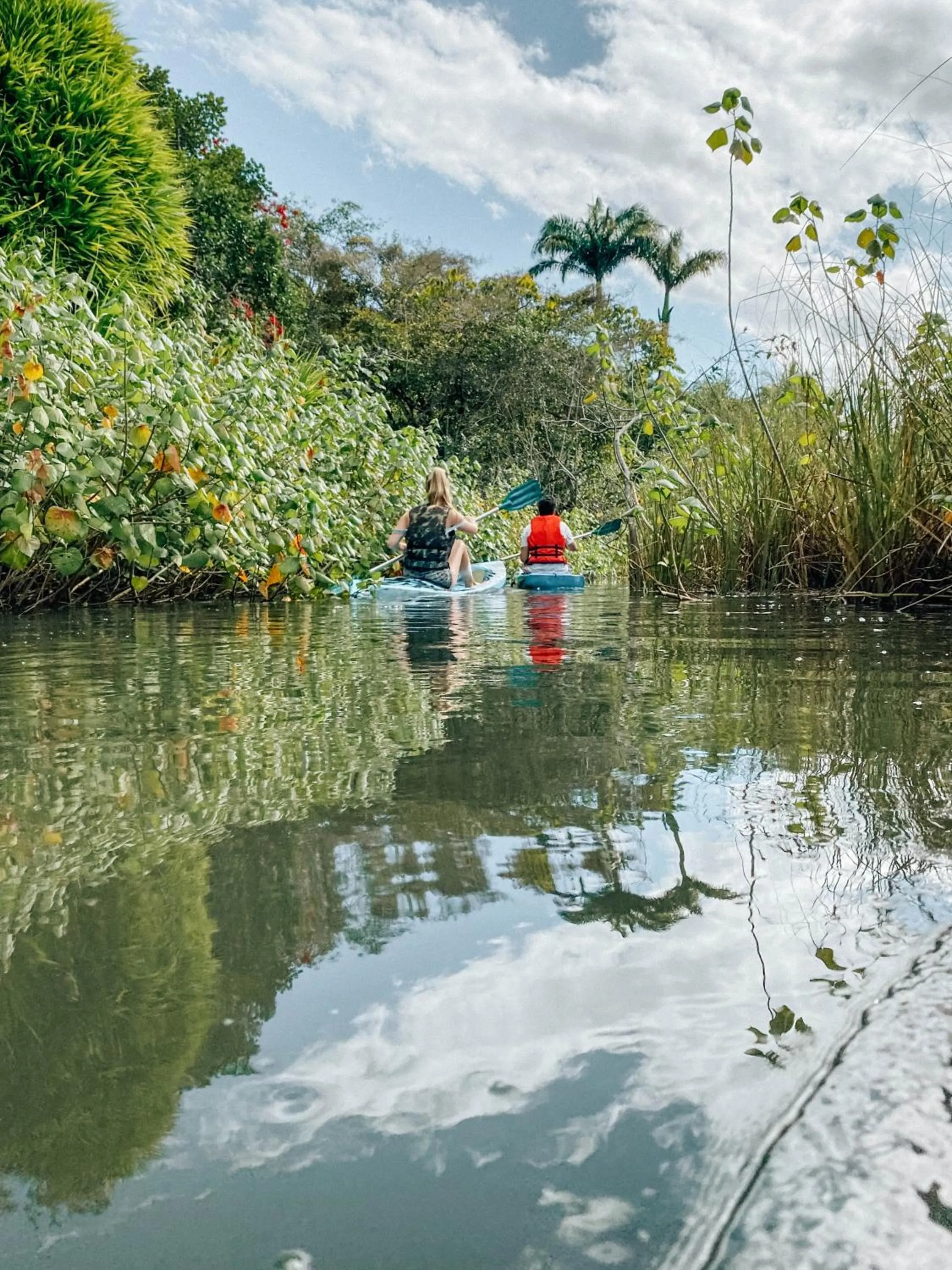 River view in Mata N'ativa Pousada