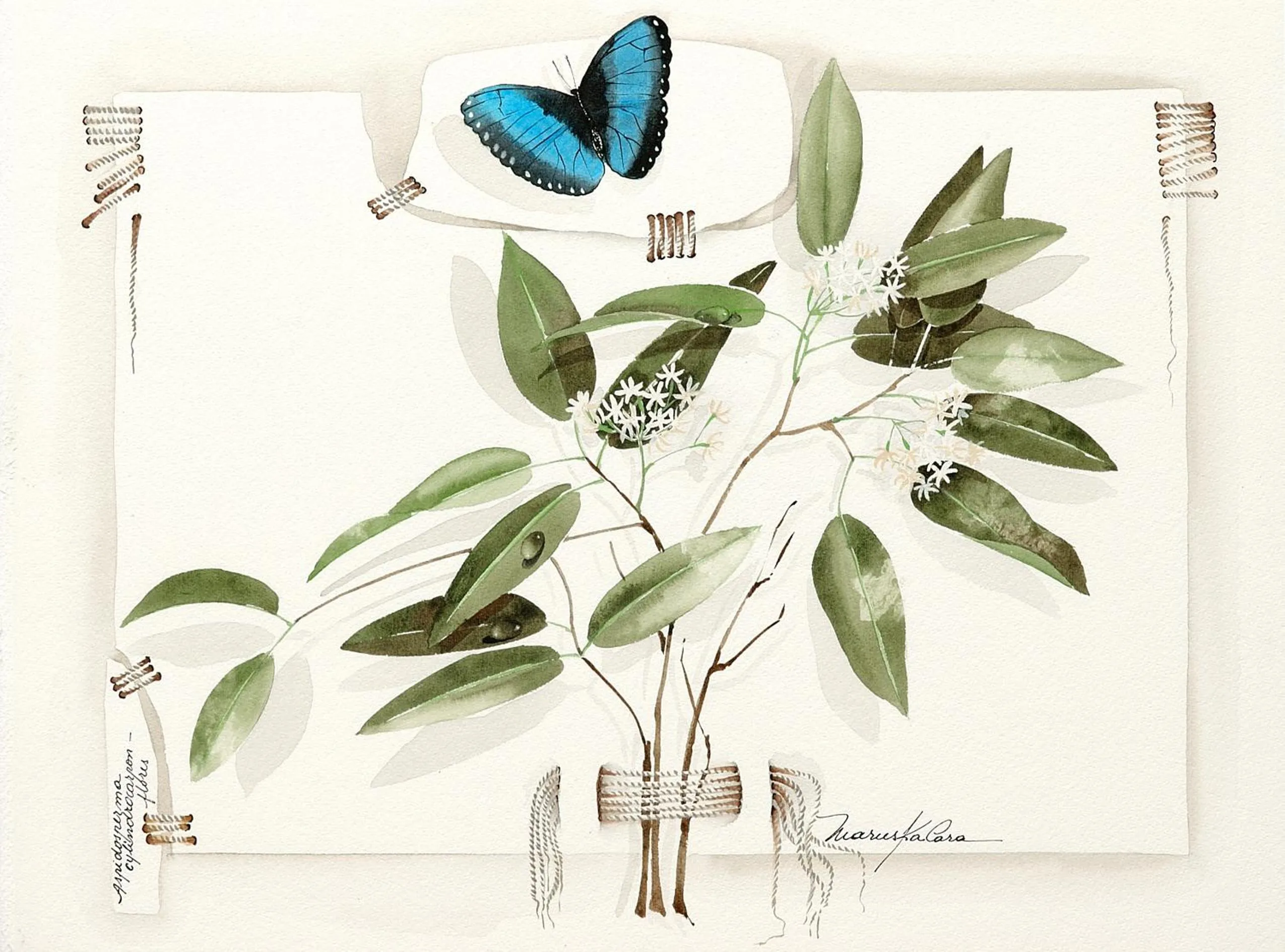 Decorative detail in Mata N'ativa Pousada