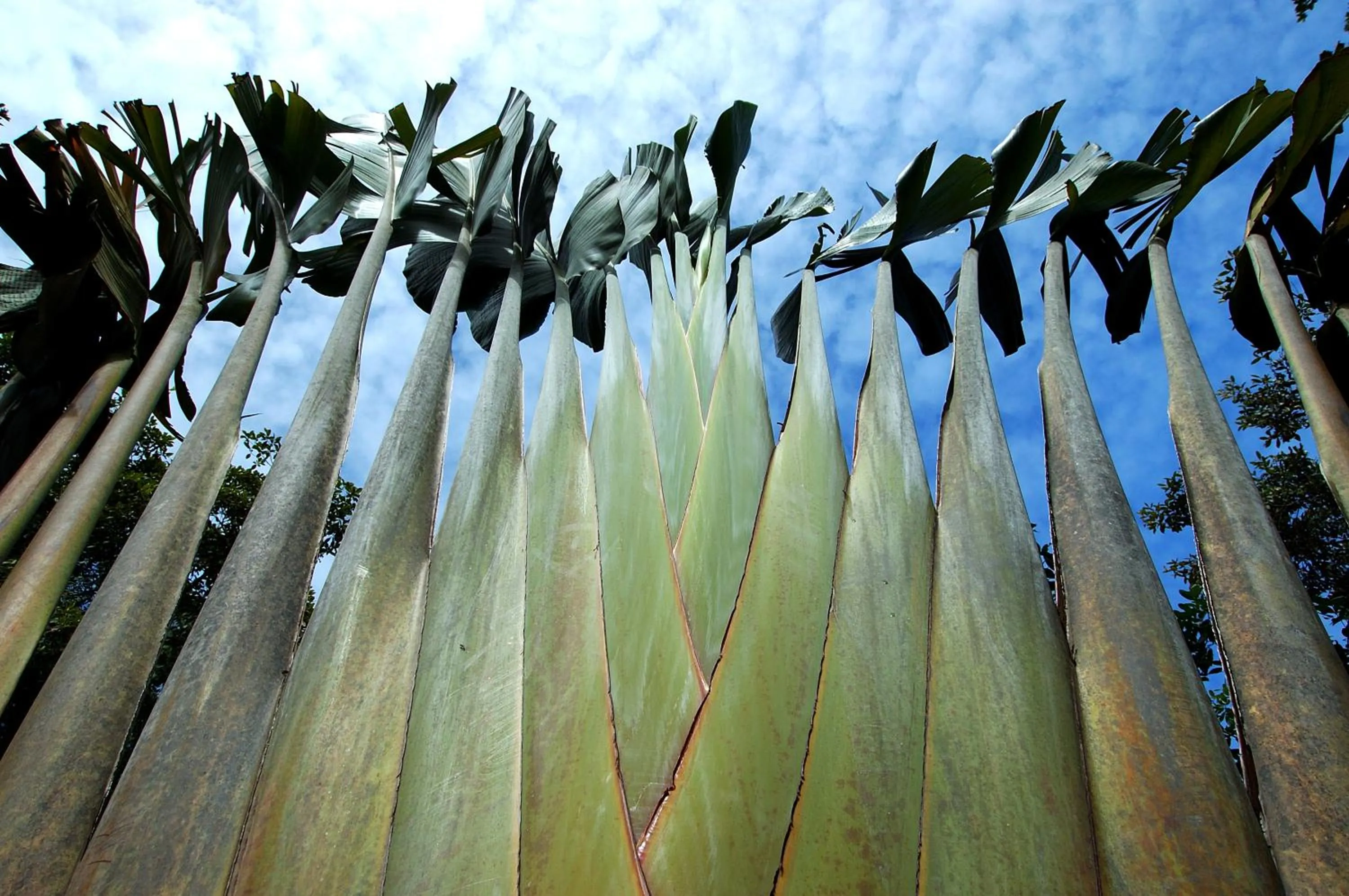 Garden in Mata N'ativa Pousada