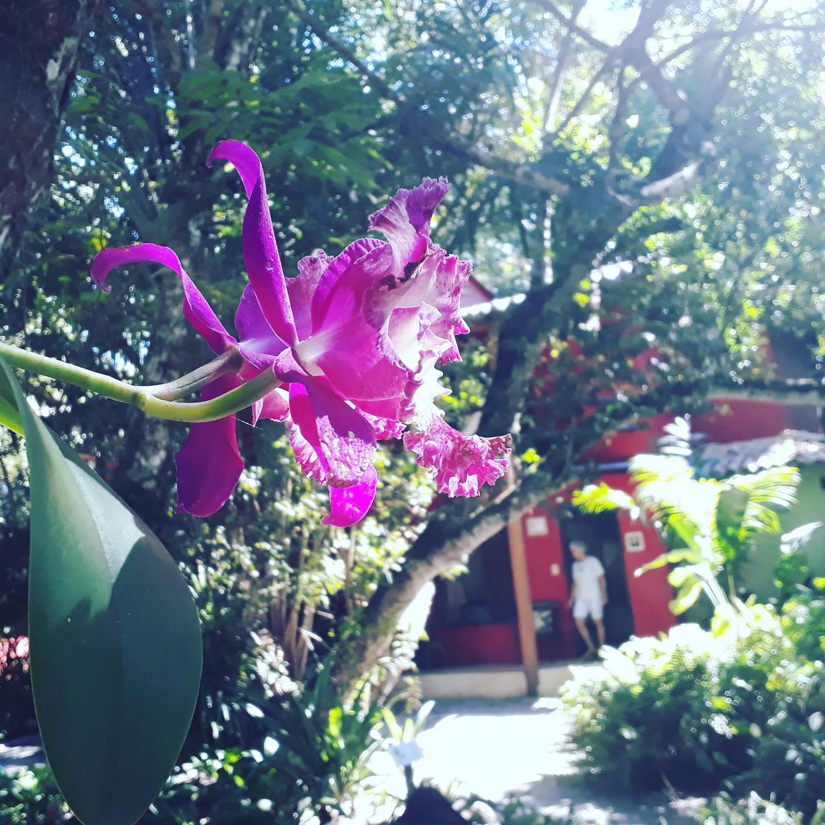 Bedroom in Mata N'ativa Pousada