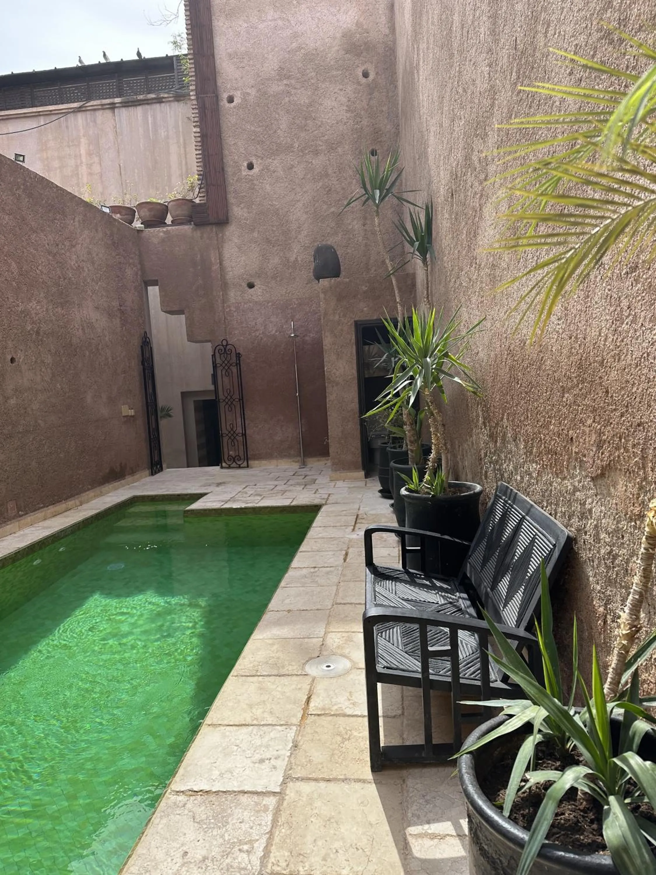 Swimming pool in Villa Makassar