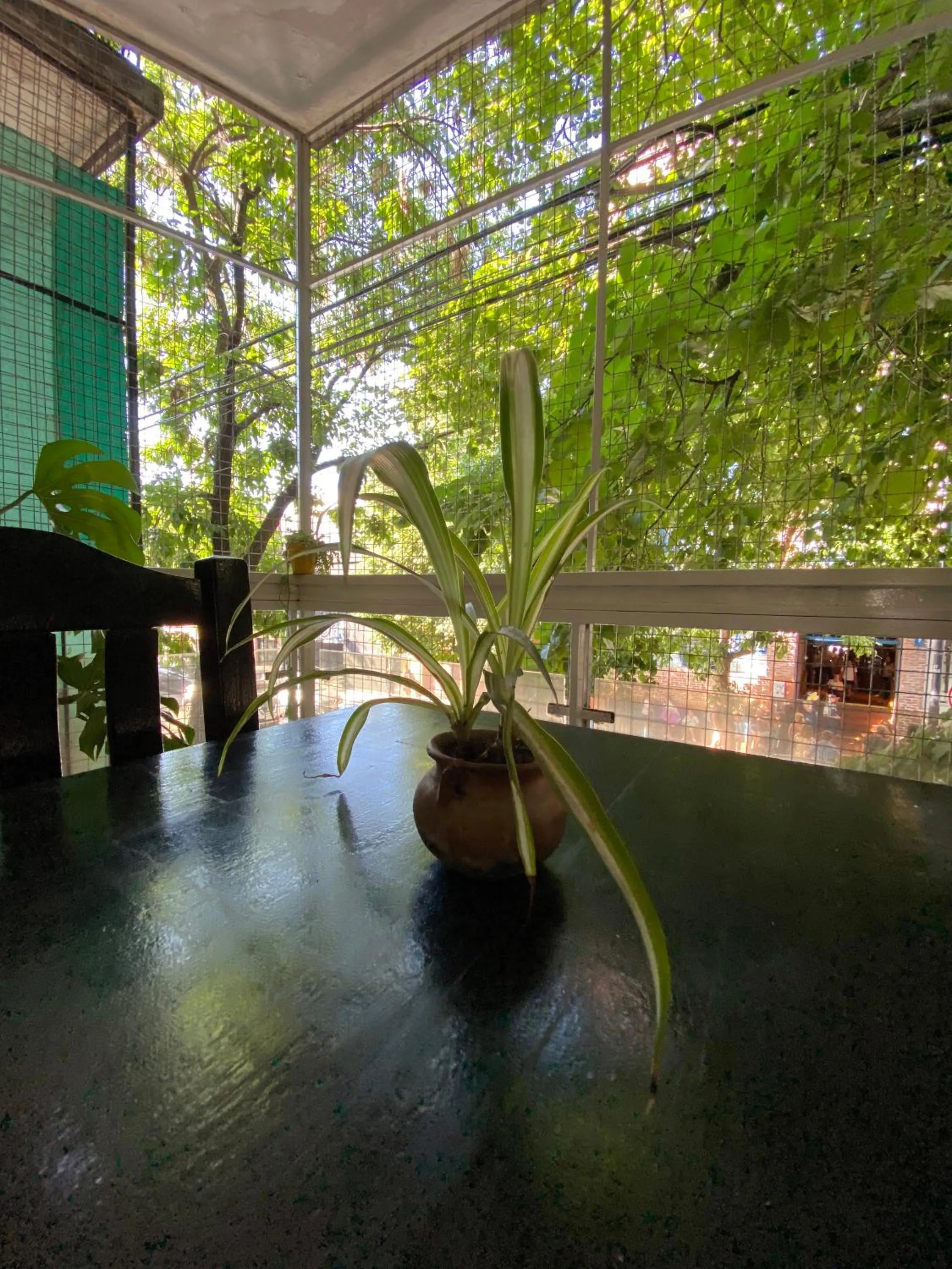 Spring in Palermo Soho Hostel