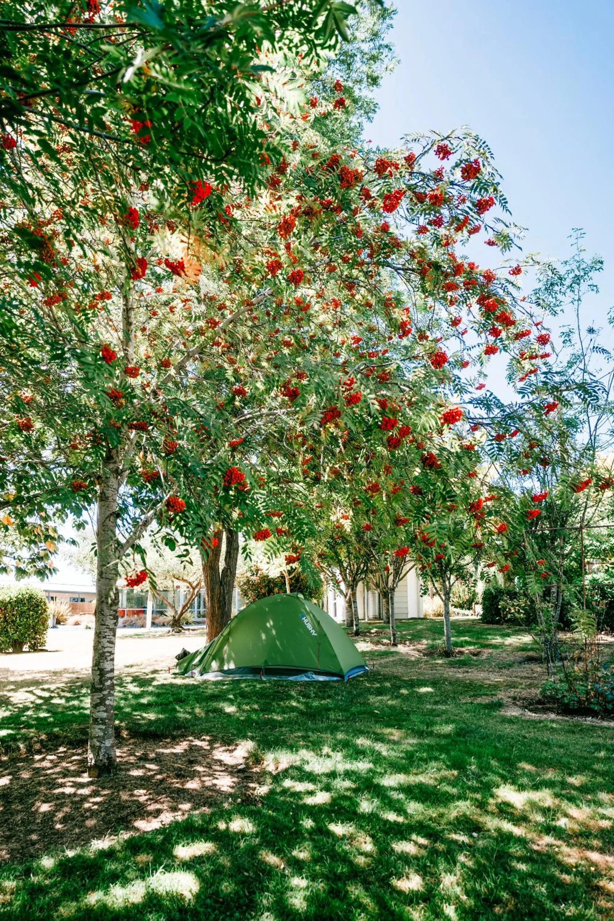 Garden view in Te Anau Lakeview Holiday Park & Motels