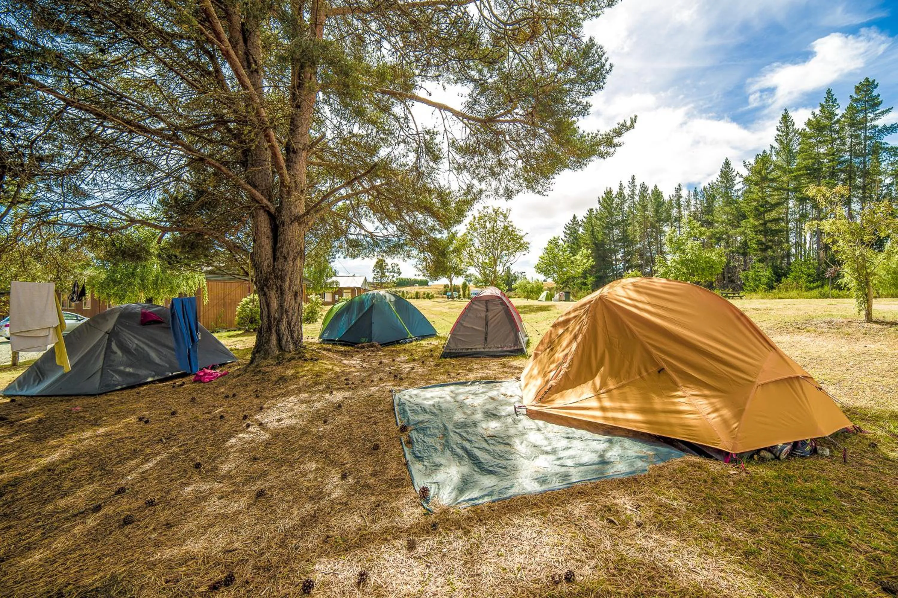 Garden view in Te Anau Lakeview Holiday Park & Motels
