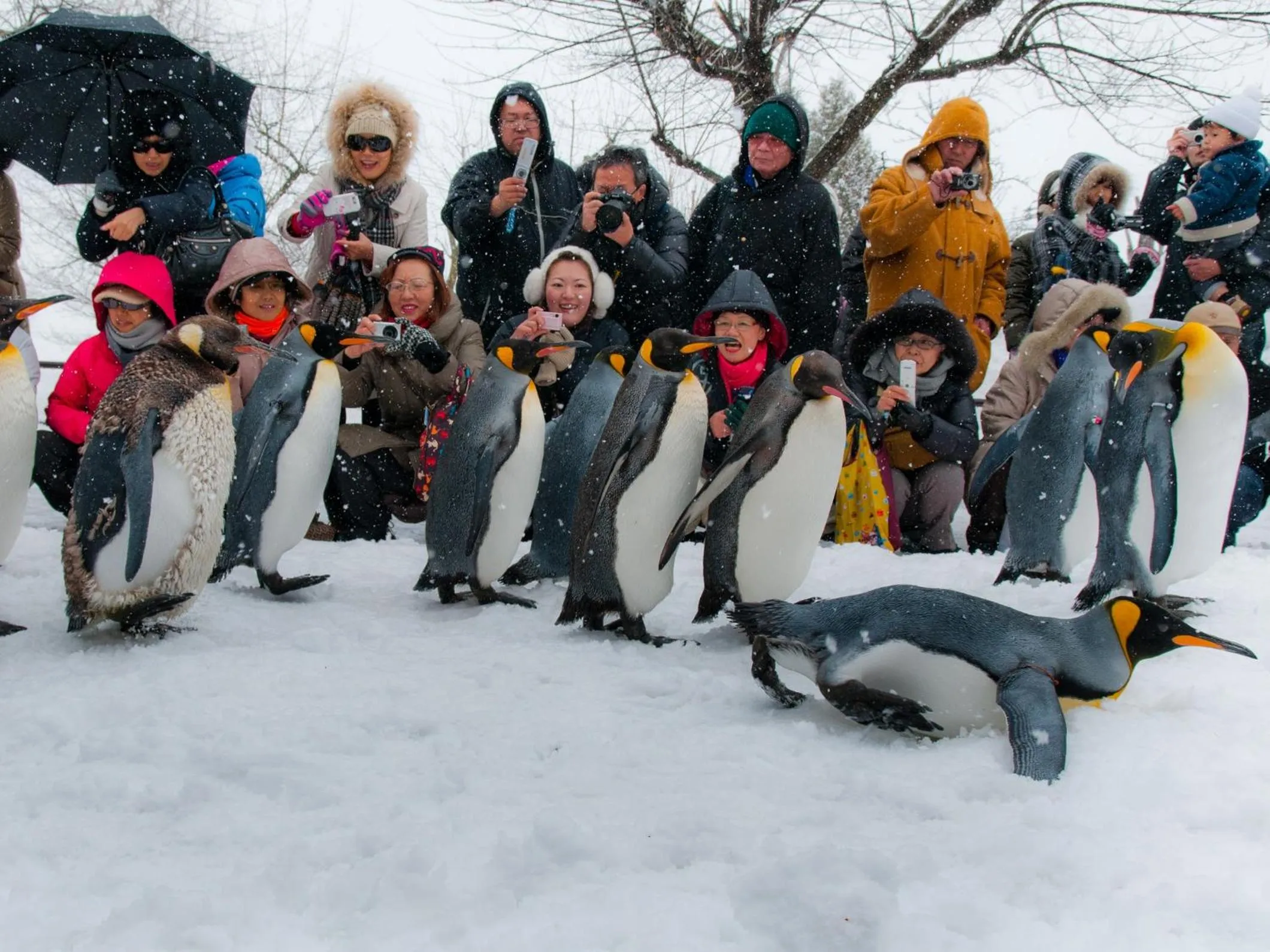 Off site in Super Hotel Asahikawa