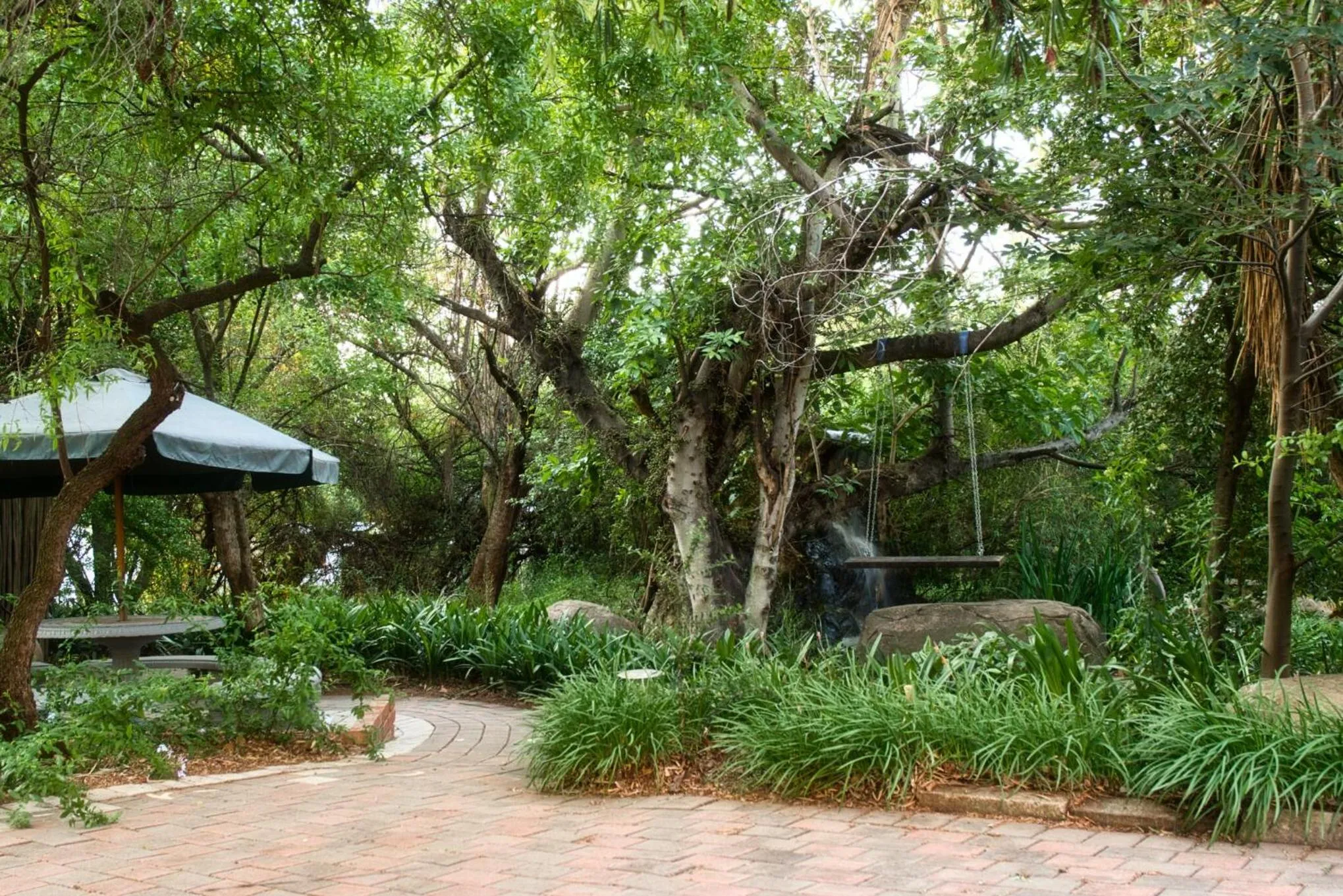 Garden in Glenda's Guest Suites