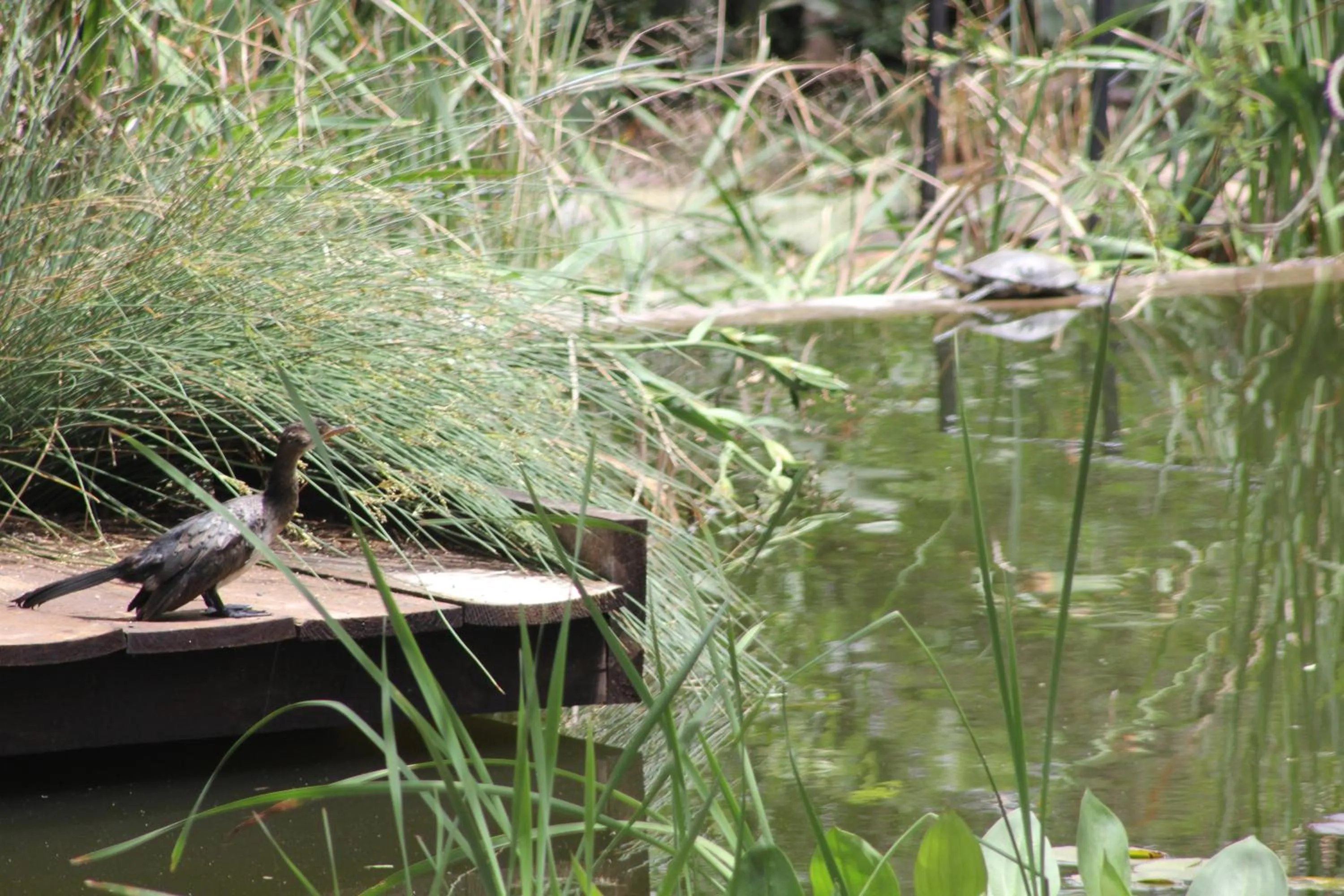 Glenda's Guest Suites